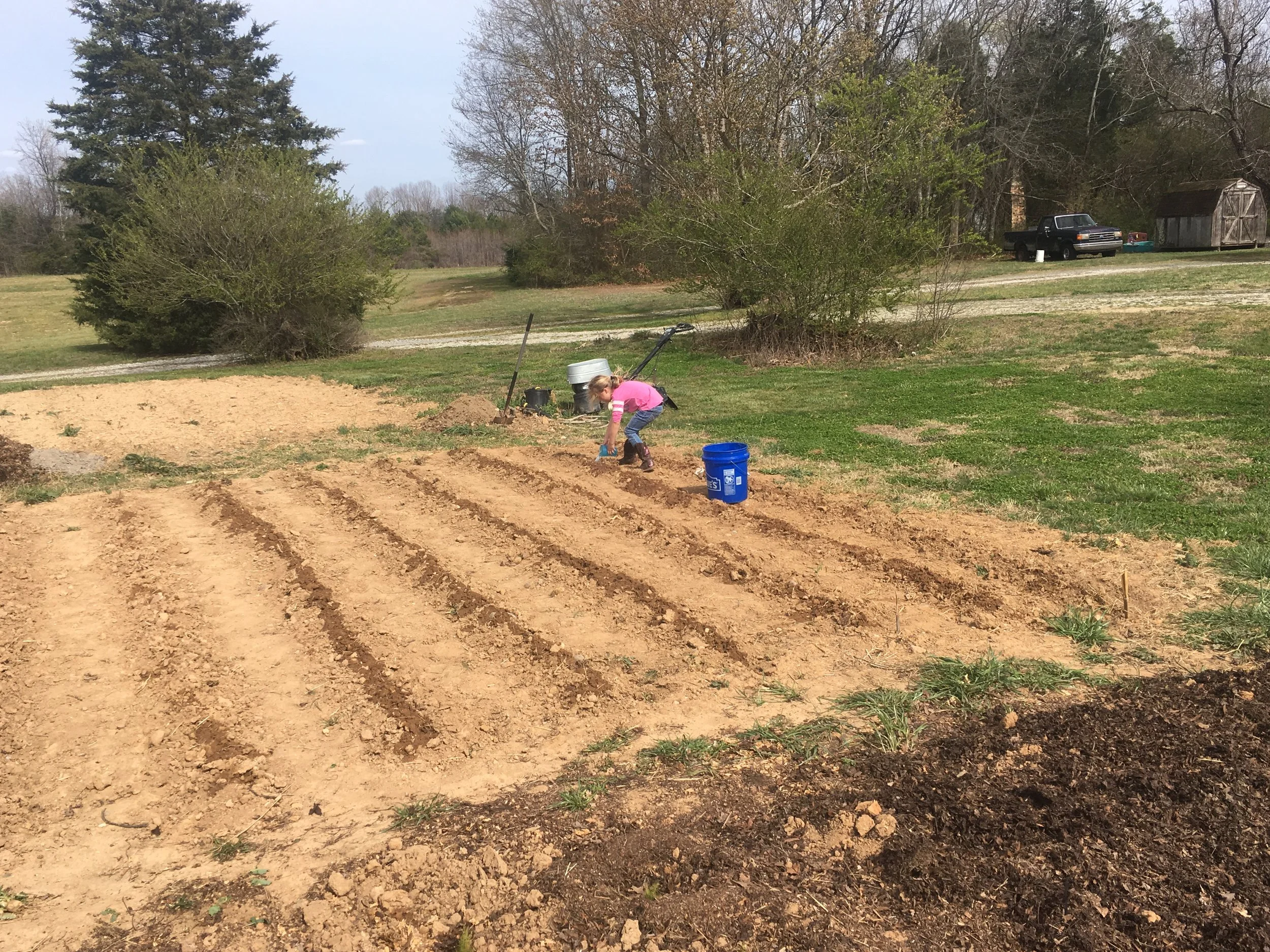Bring all your gardening dreams to 8212 Brann Road in Browns Summit.