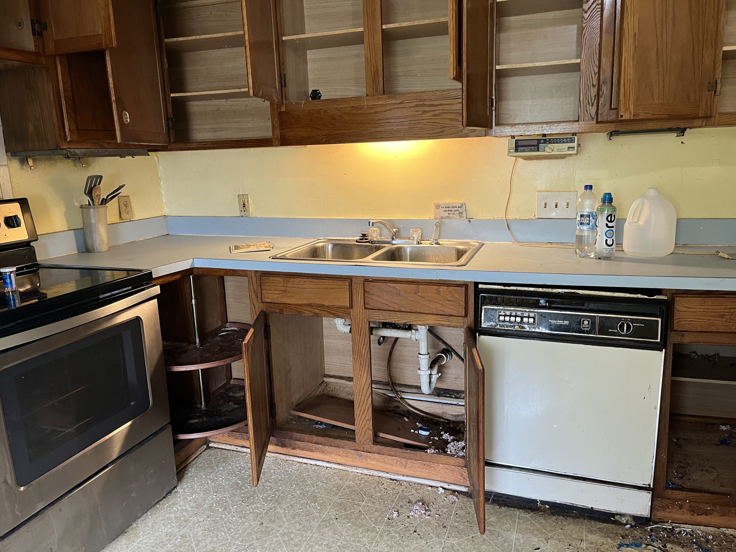  The kitchen base cabinets had to go straight to the trash. A few of the upper cabinets got cleaned and sprayed with Kilz paint and I hope to salvage a few of them if they fit in somewhere.  