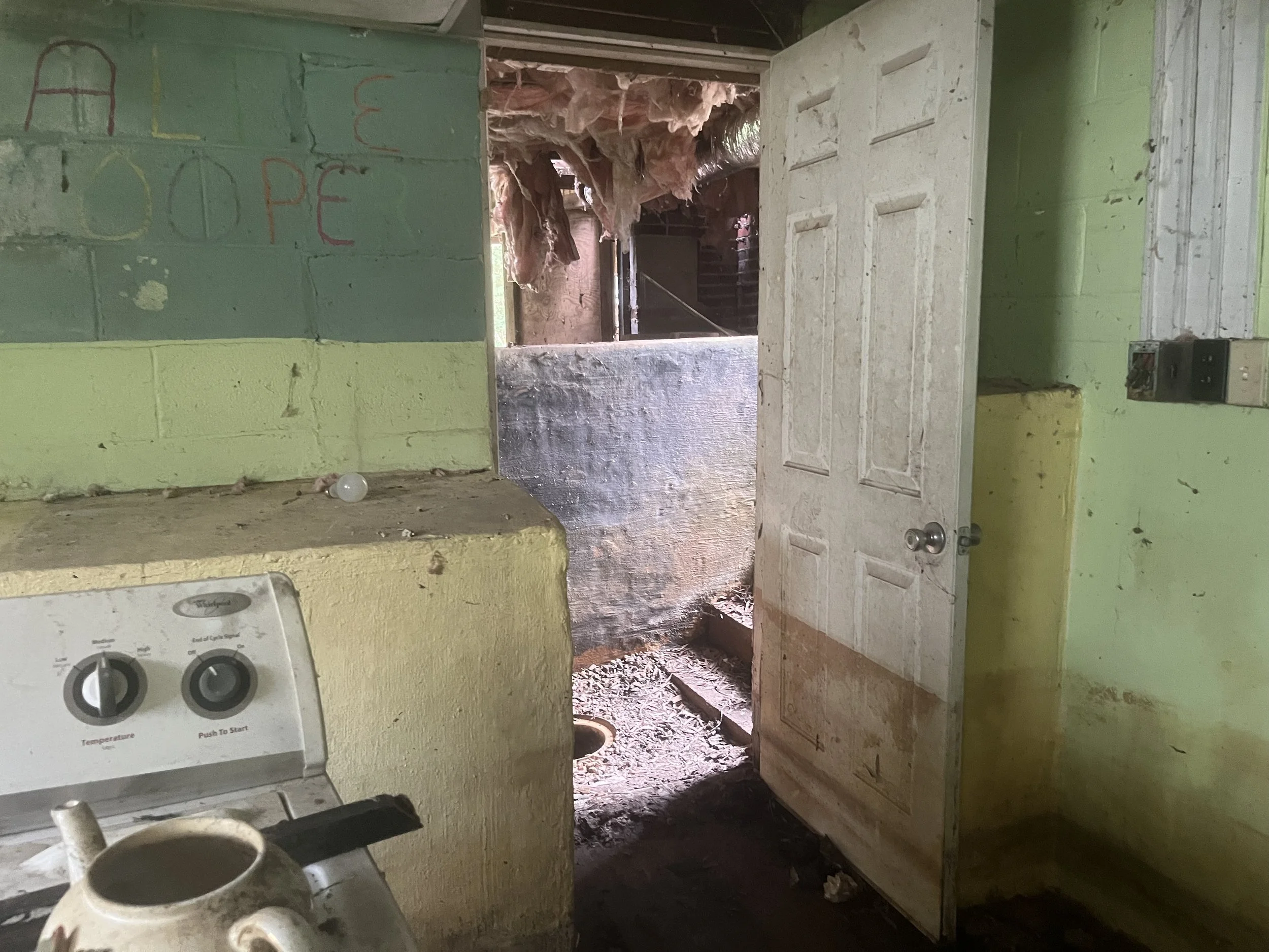  Basement BEFORE photo 