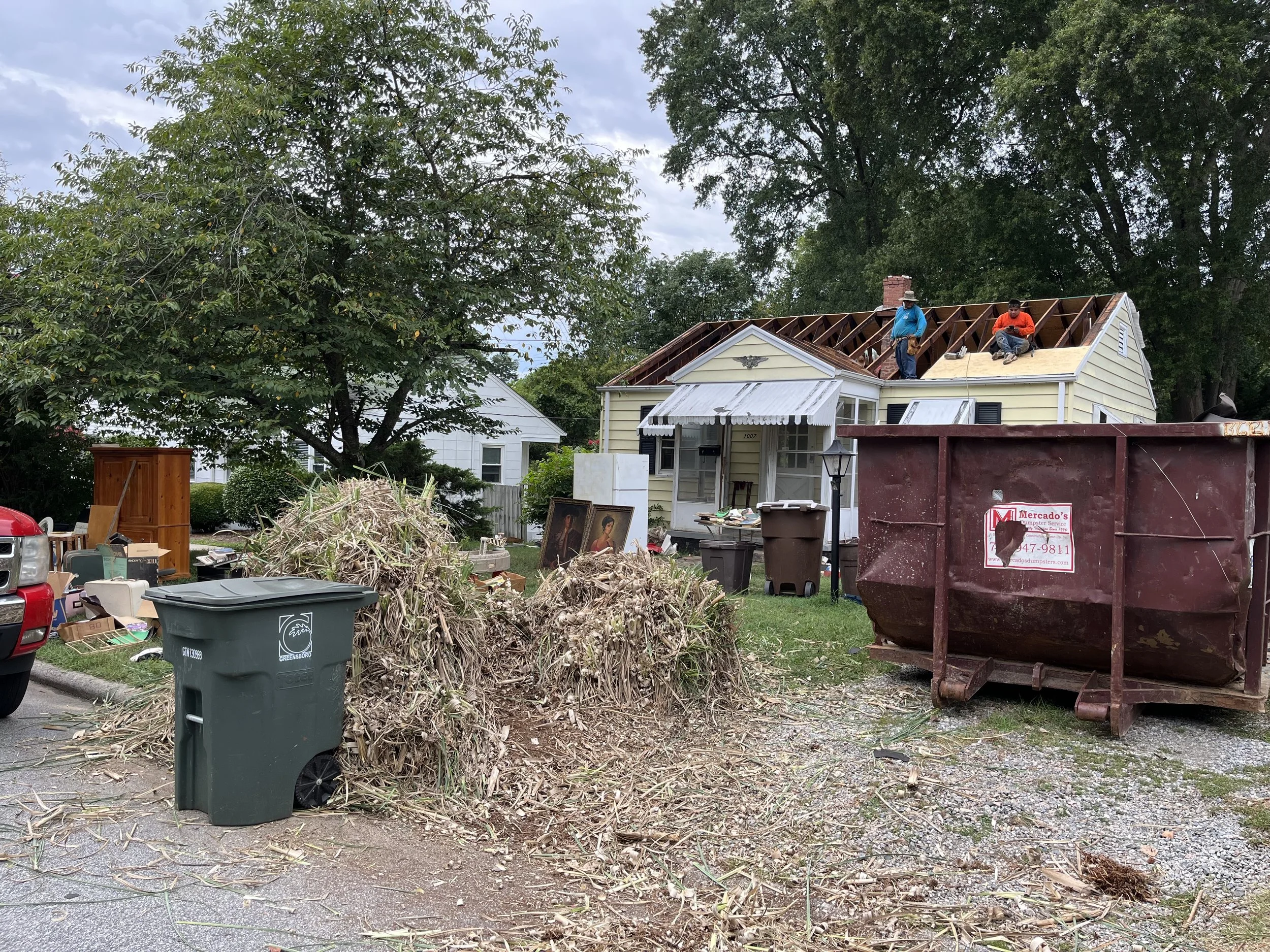  We have hated this giant beach grass plume and Eric was determined to get it out. It had a few large rats that had made homes in the base and it was just a mess  