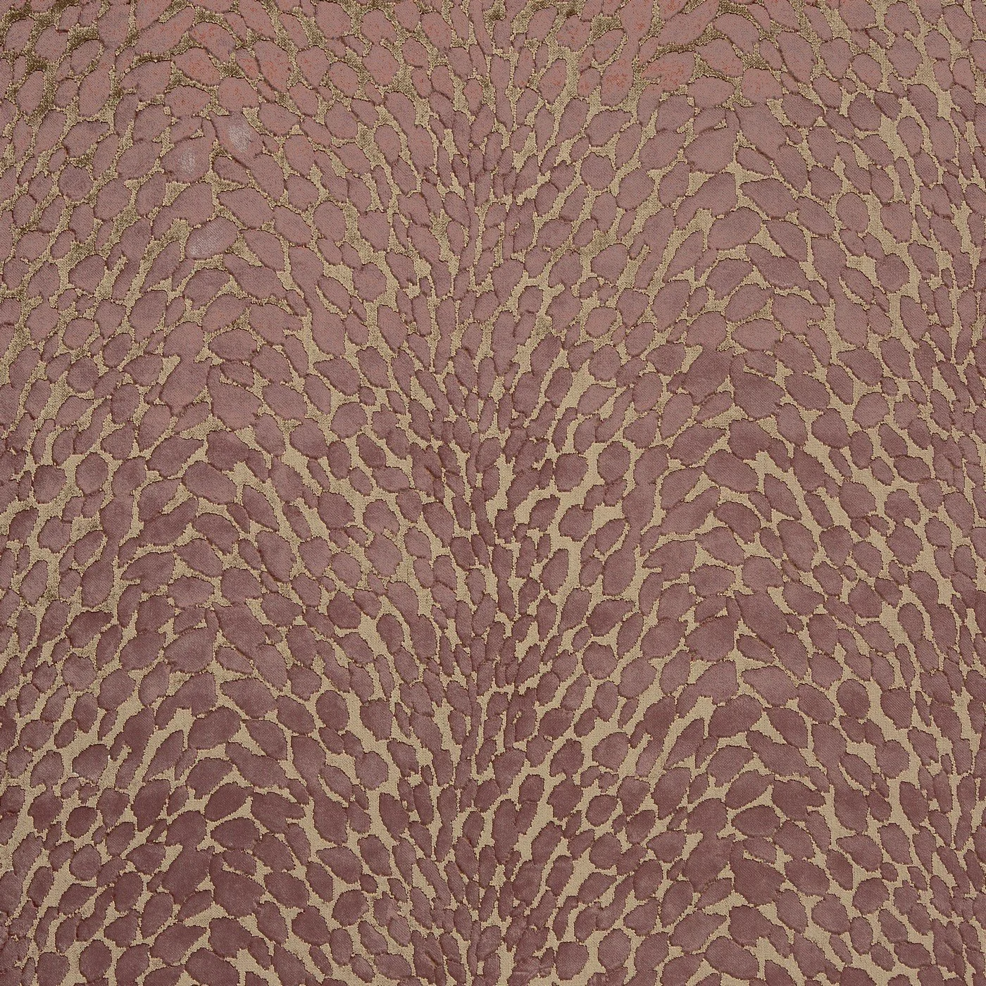 4089-736 lyric juniper.jpg