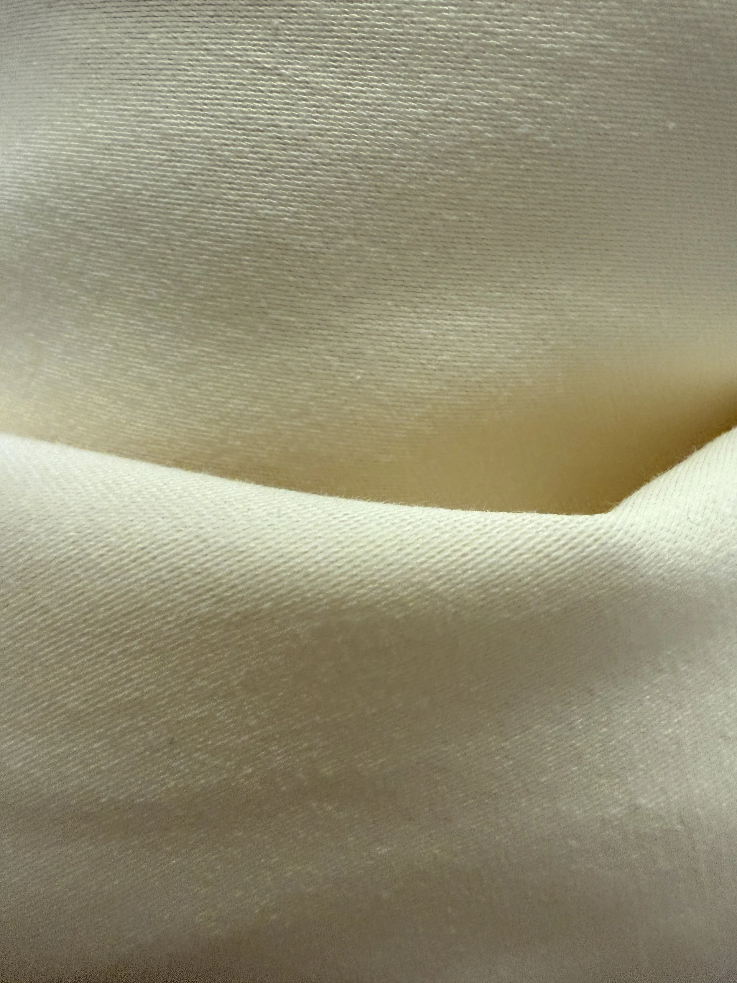 image_6209779 (2).JPG (Copy)