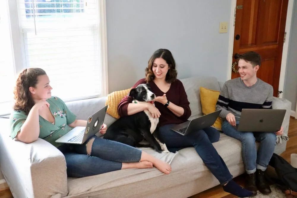 Three people sitting on a light-colored sofa with a black and white dog, working on laptops, in a cozy living room with a window and wooden door.