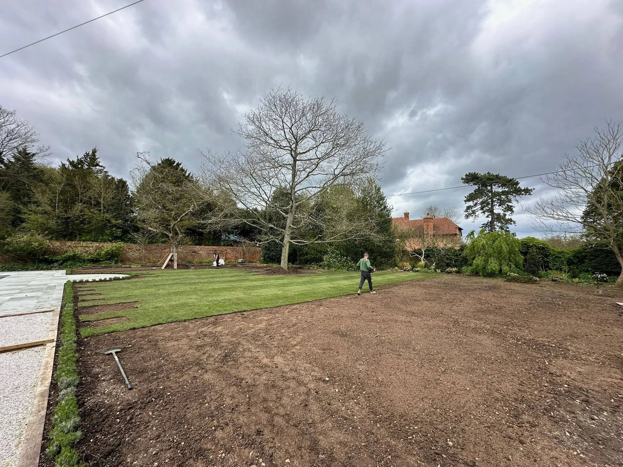 Surrey Acres Ltd - Turf Progress.jpeg