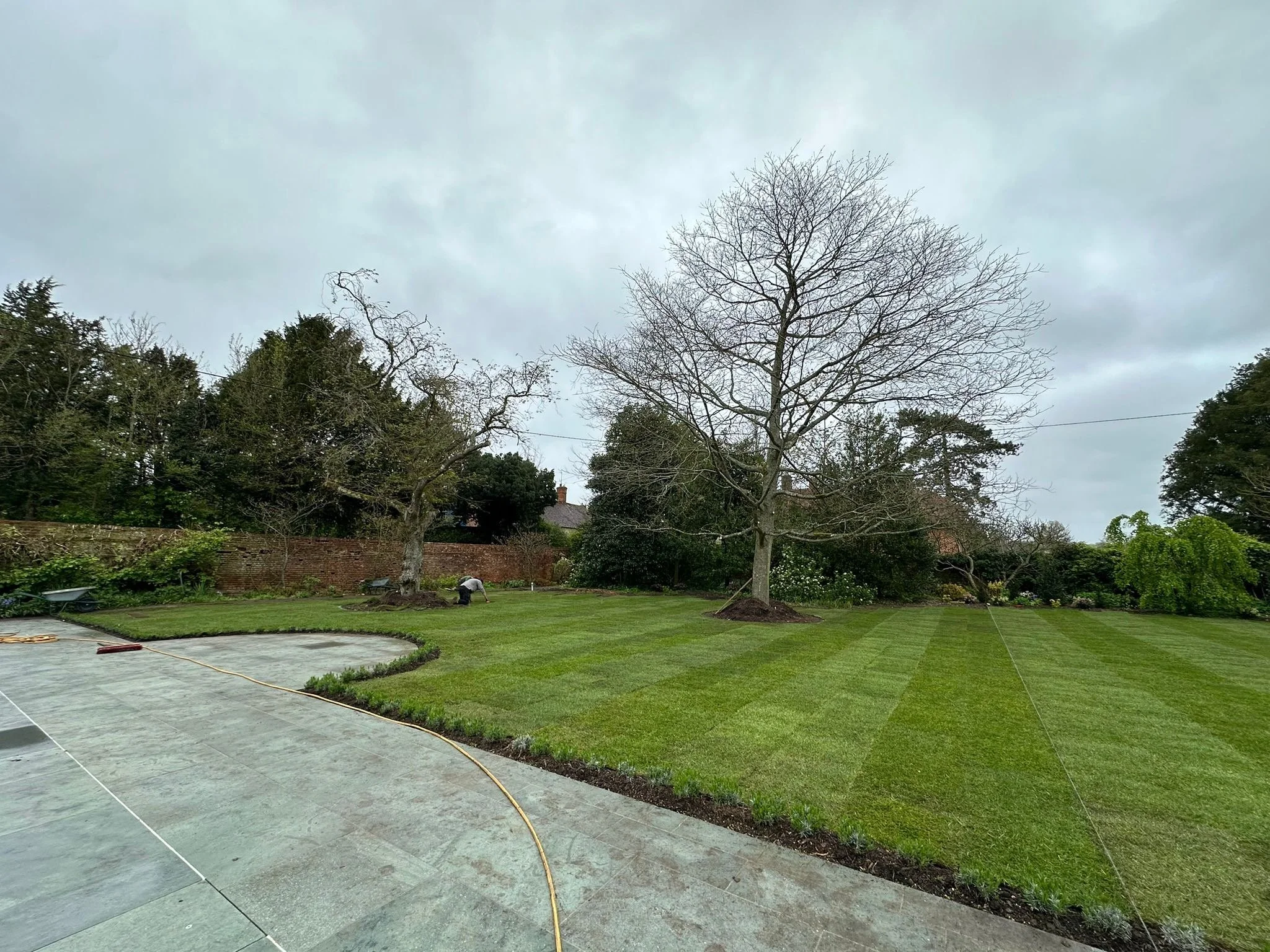 Surrey Acres Ltd - Landscape Progress.jpeg