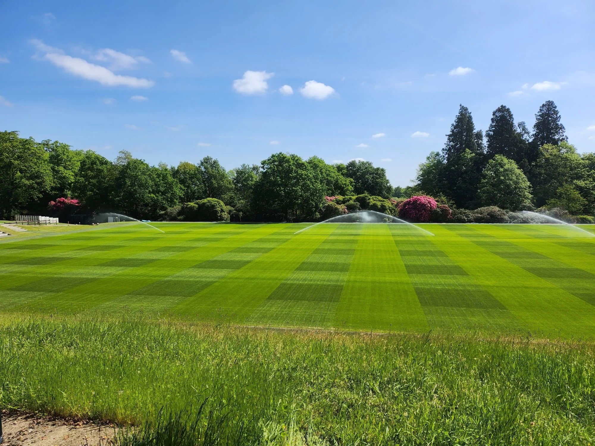 Surrey Acres Ltd - Rugy Pitch.jpeg