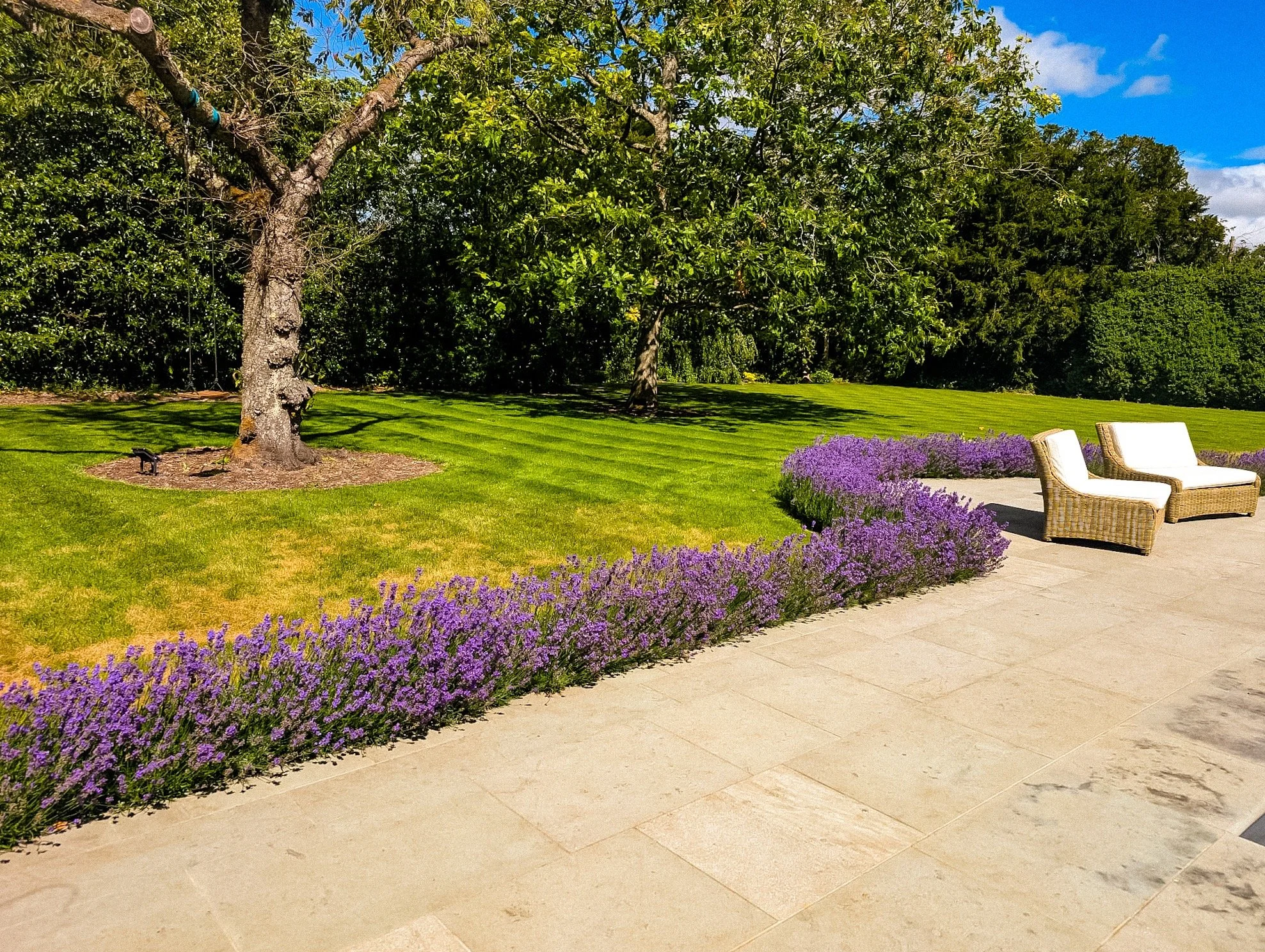 Surrey Acres Ltd - Flower Edging.jpeg