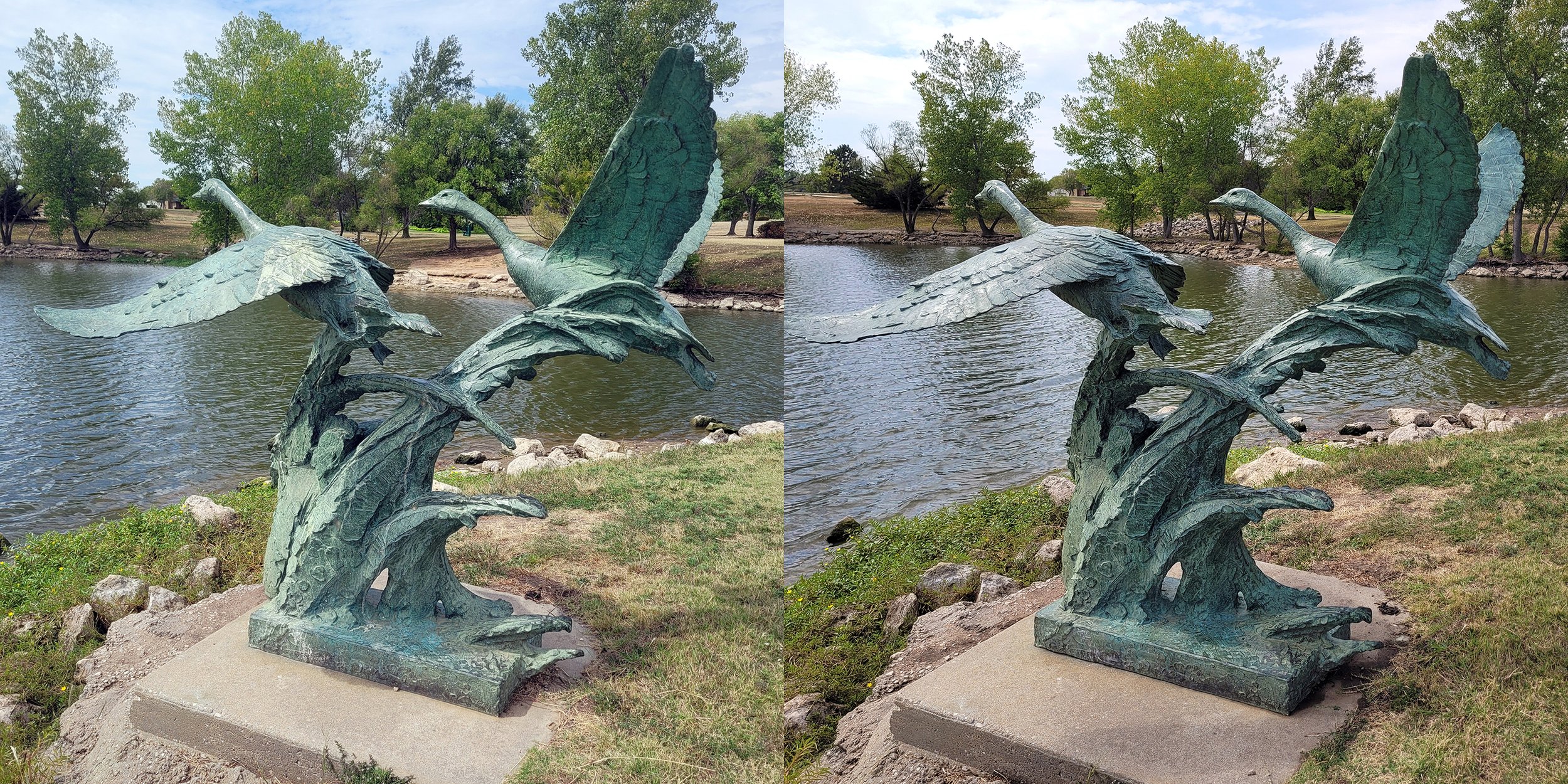 BirdsBeforeAfterReduced.jpg