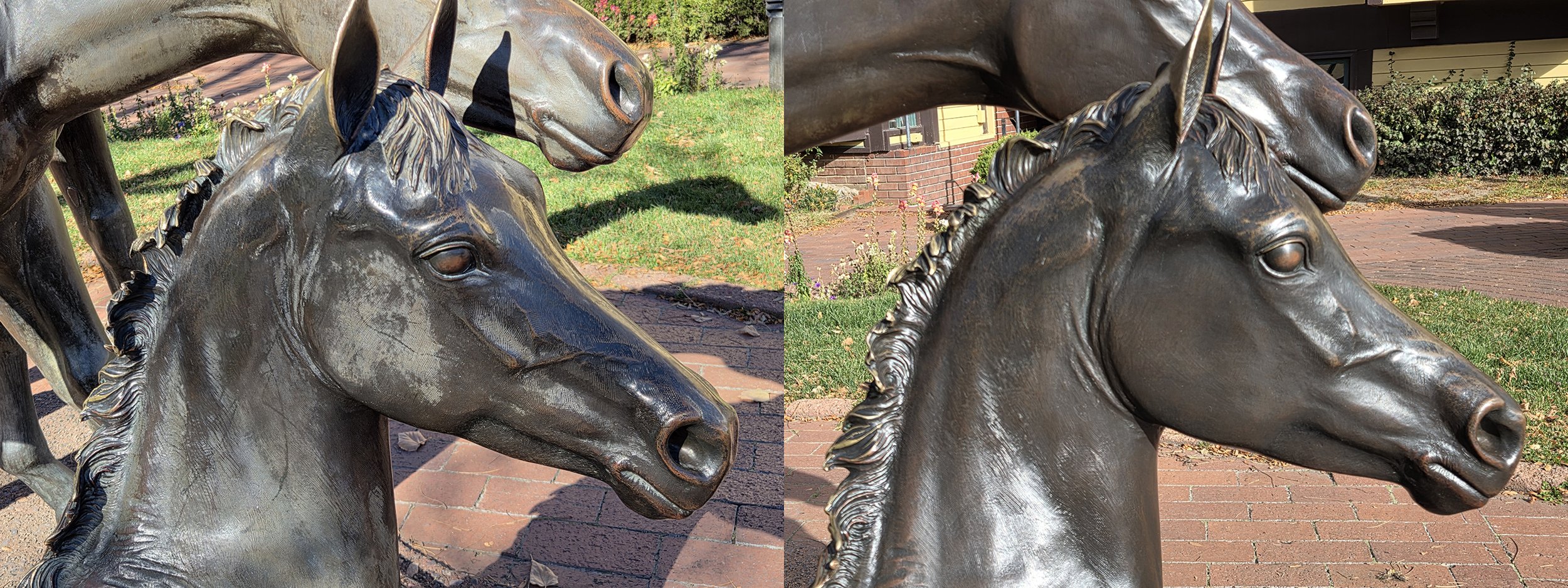 HorseTogetherReduced.jpg