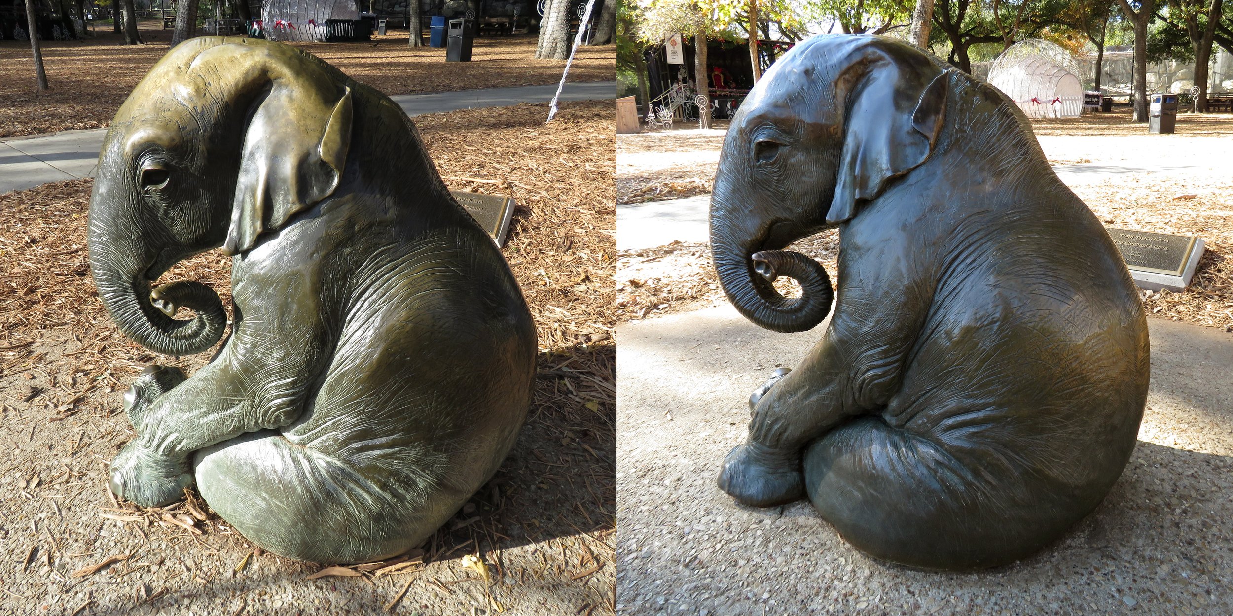 ElephantsTogether.jpg