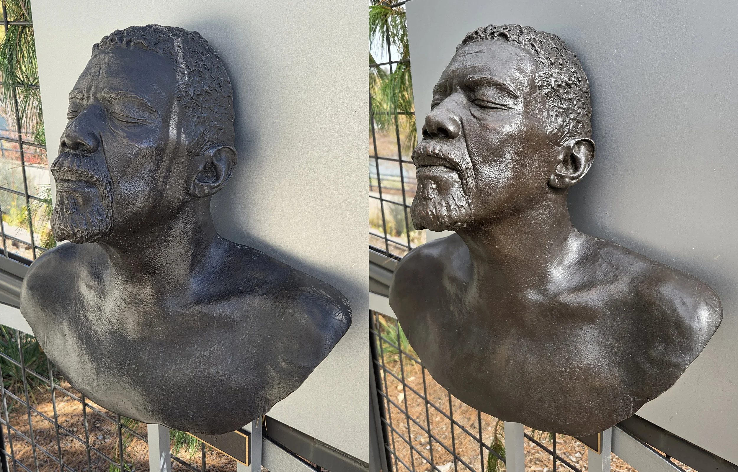 BustBeforeAfterReduced.jpg