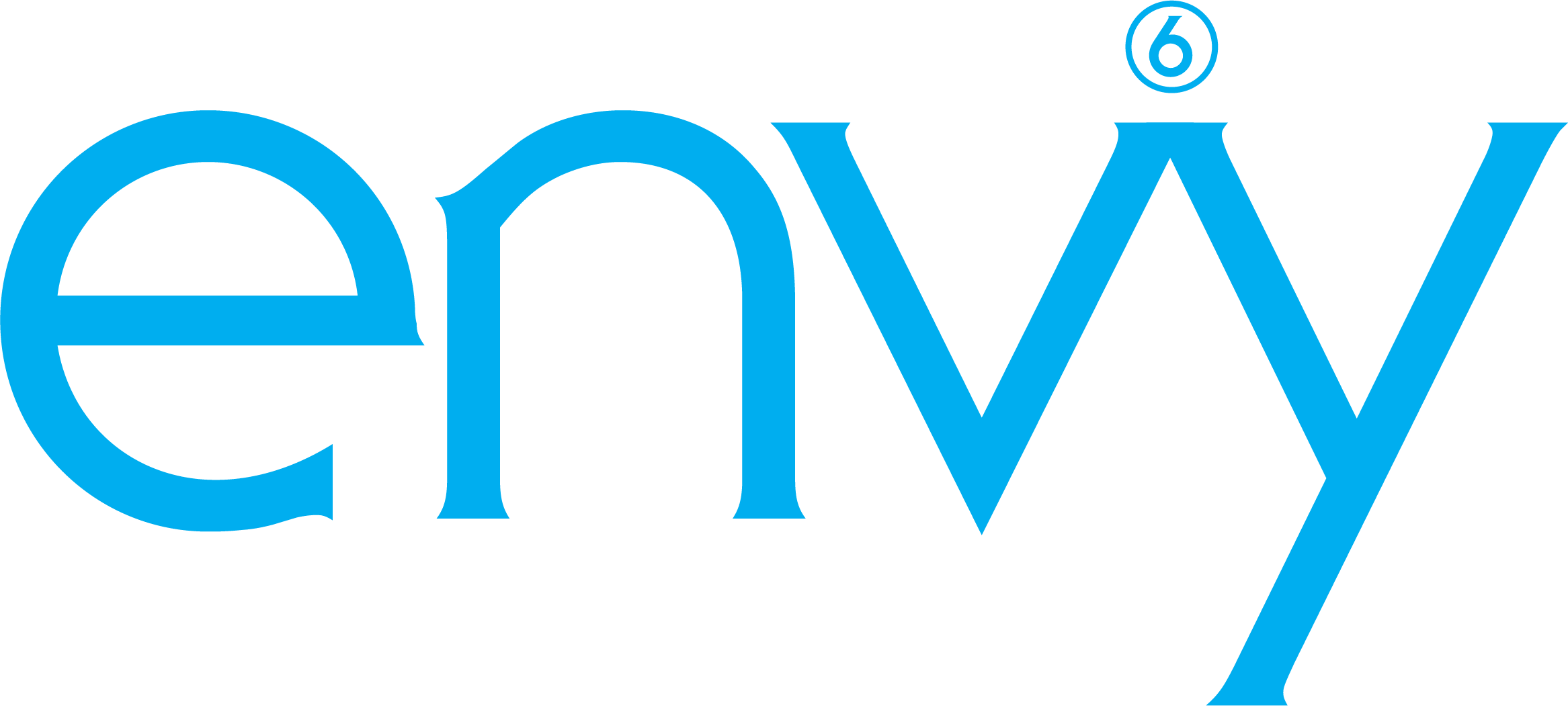The word 'envy' written in blue lowercase letters with a small number 6 in a circle above the 'n'.