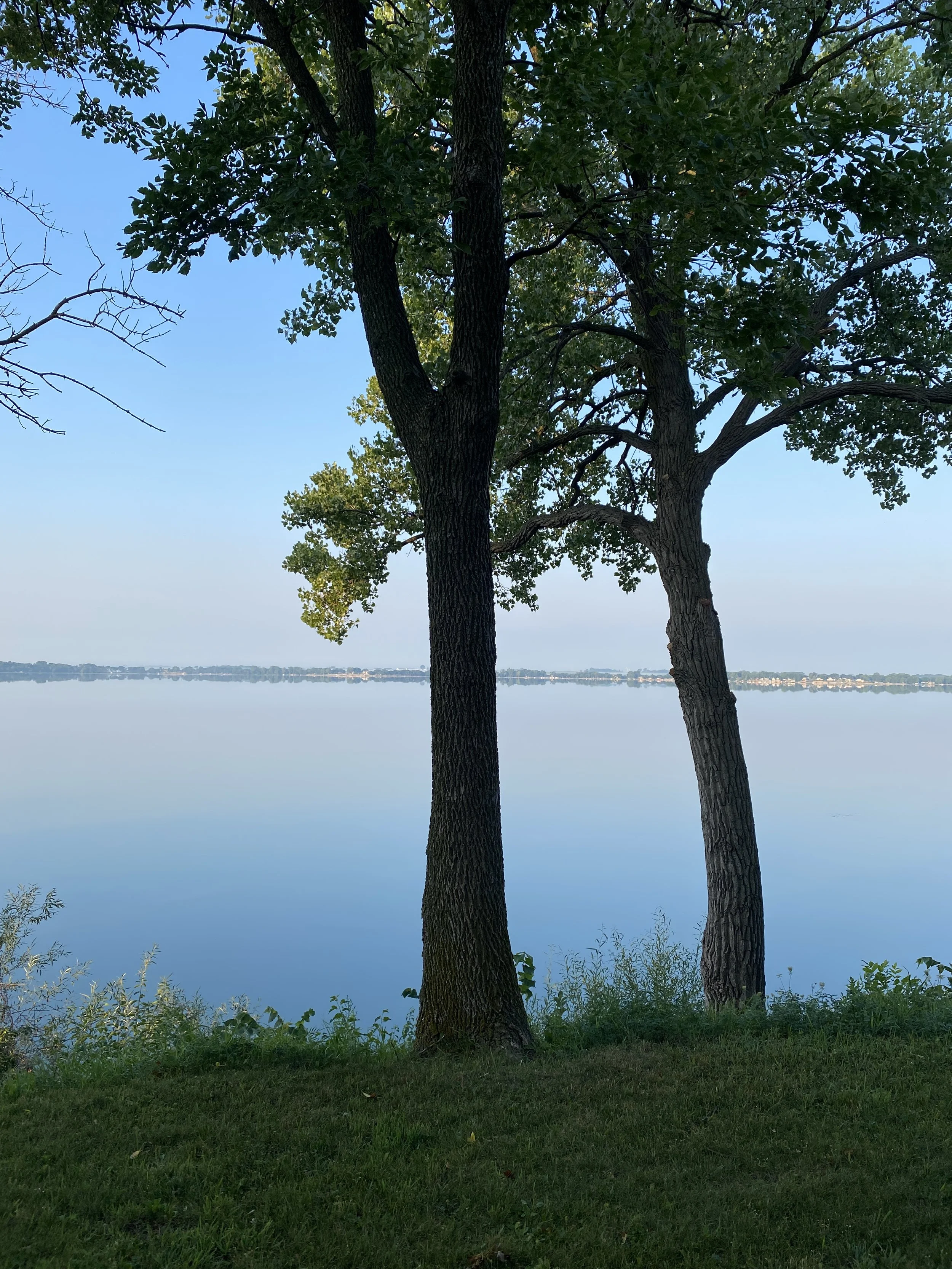 My work is often inspired by the beauty of nature that surrounds me. 