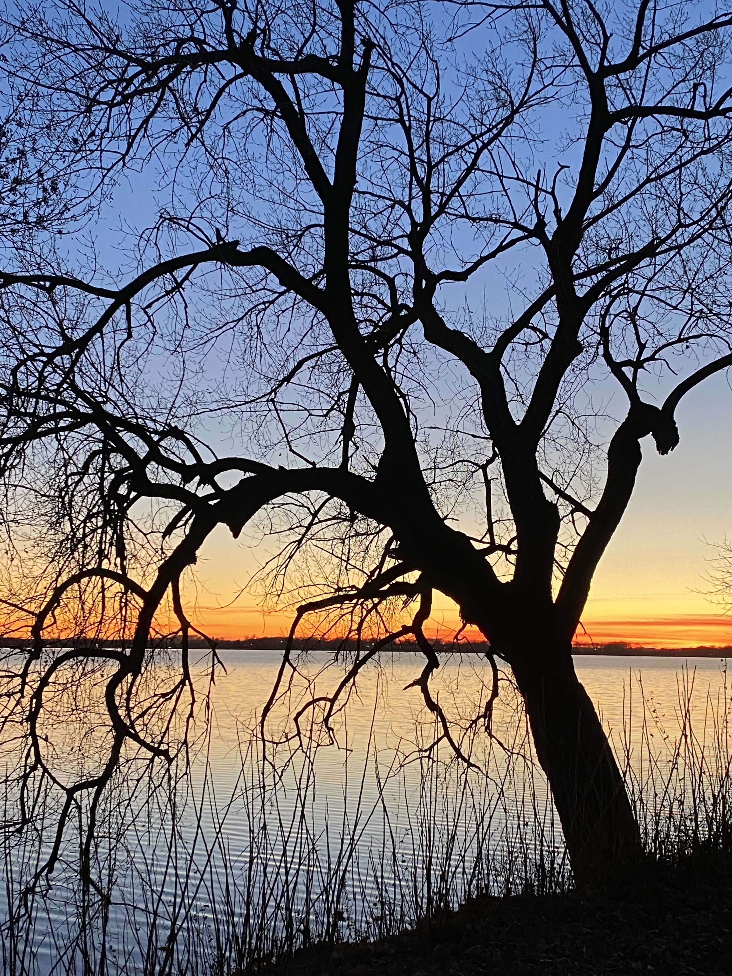 lake inspiration 4.JPG