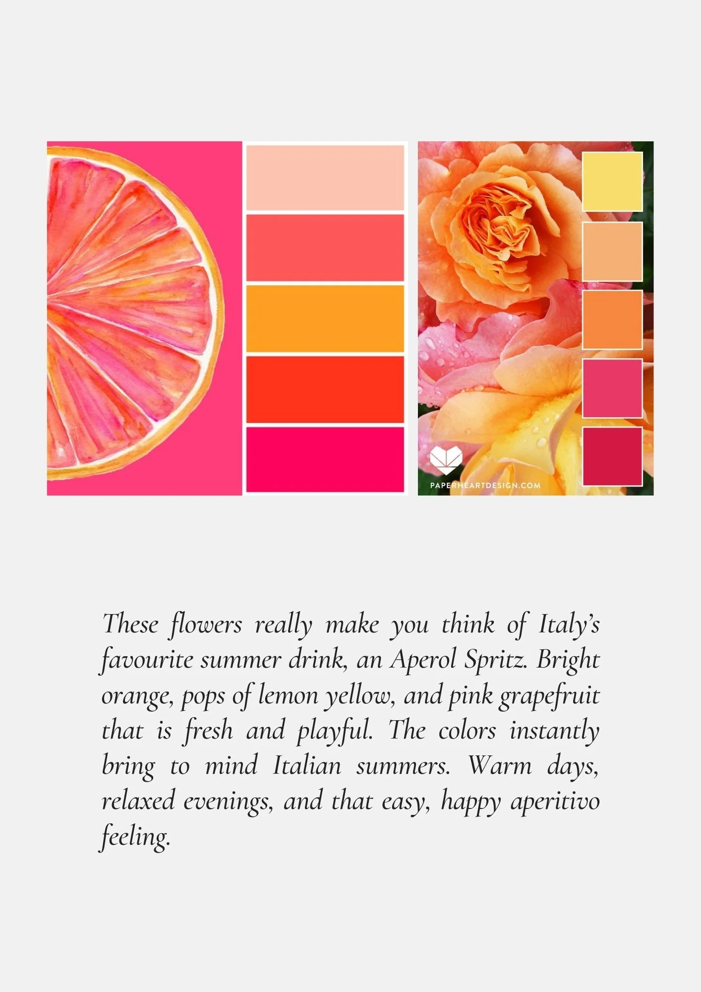 2.jpg (Copy) (Copy) (Copy)