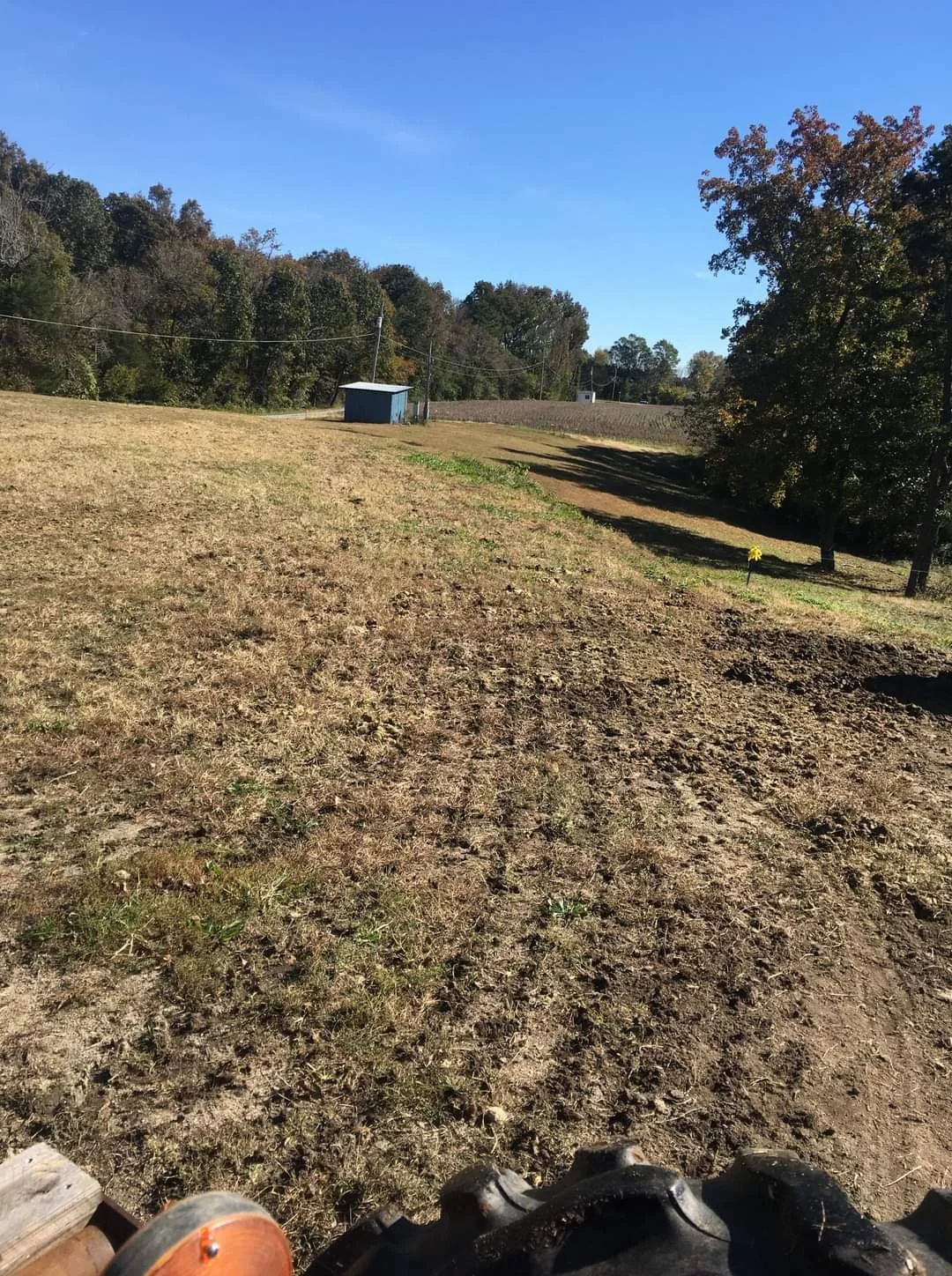 Pasture plugging and reseeding