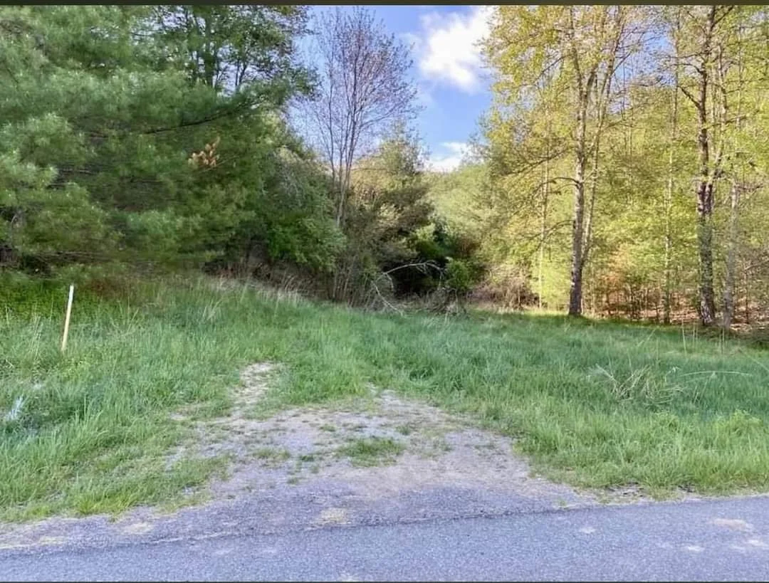 Before-Driveway