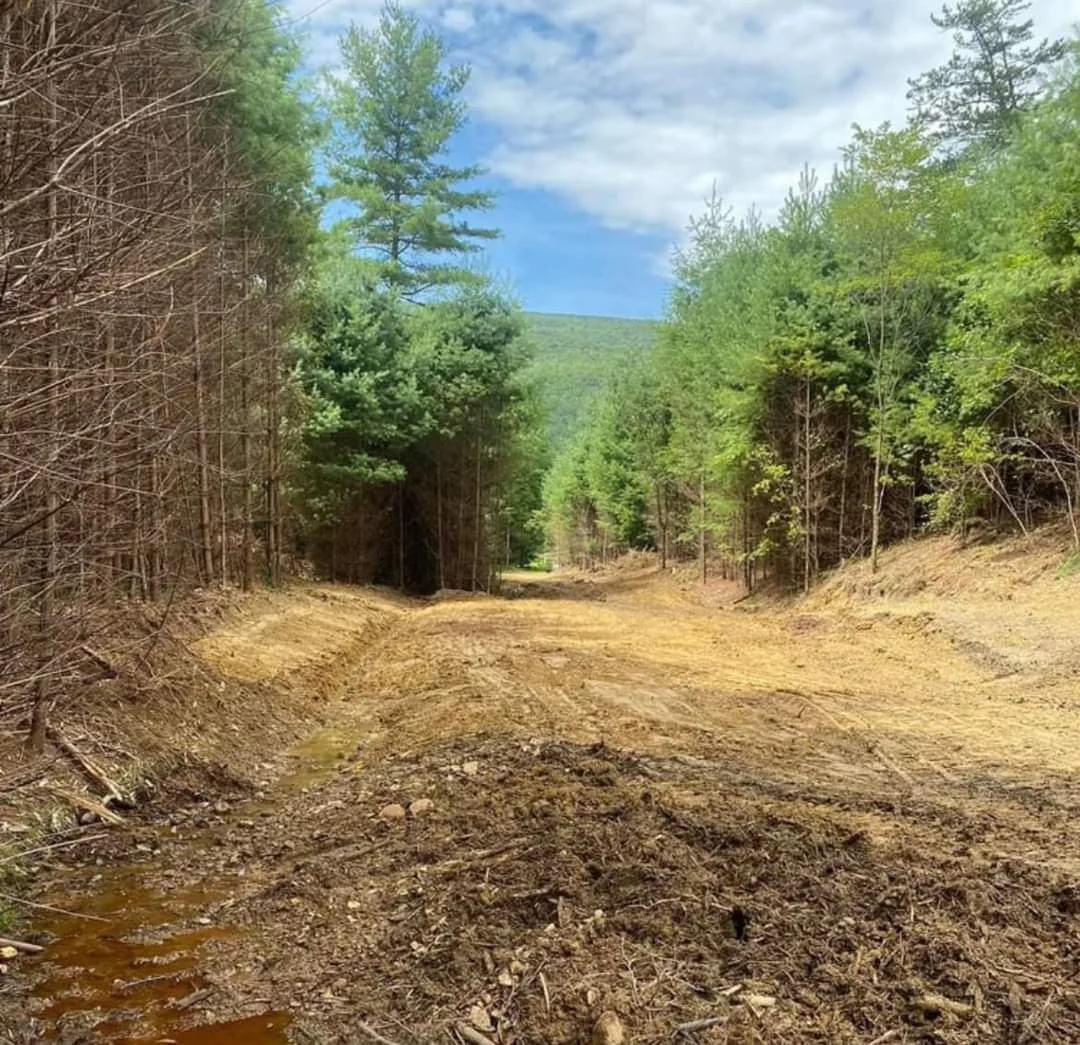 After-New Driveway