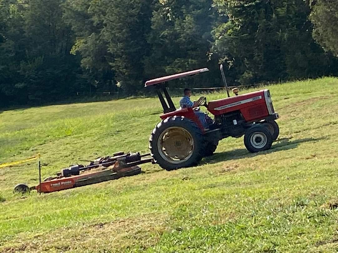 Bush hogging