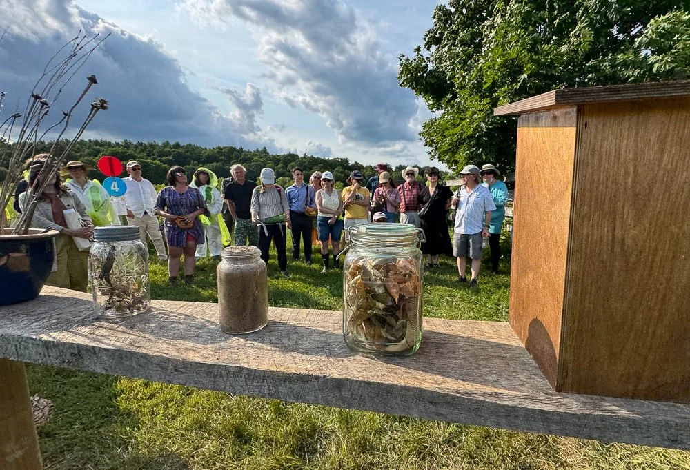AE_No9_Eco_Art_Fest_2024_IMG_0311.jpg