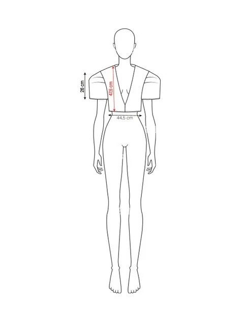 Top Leo Strech TZ - Angelika Kauffmann.jpeg