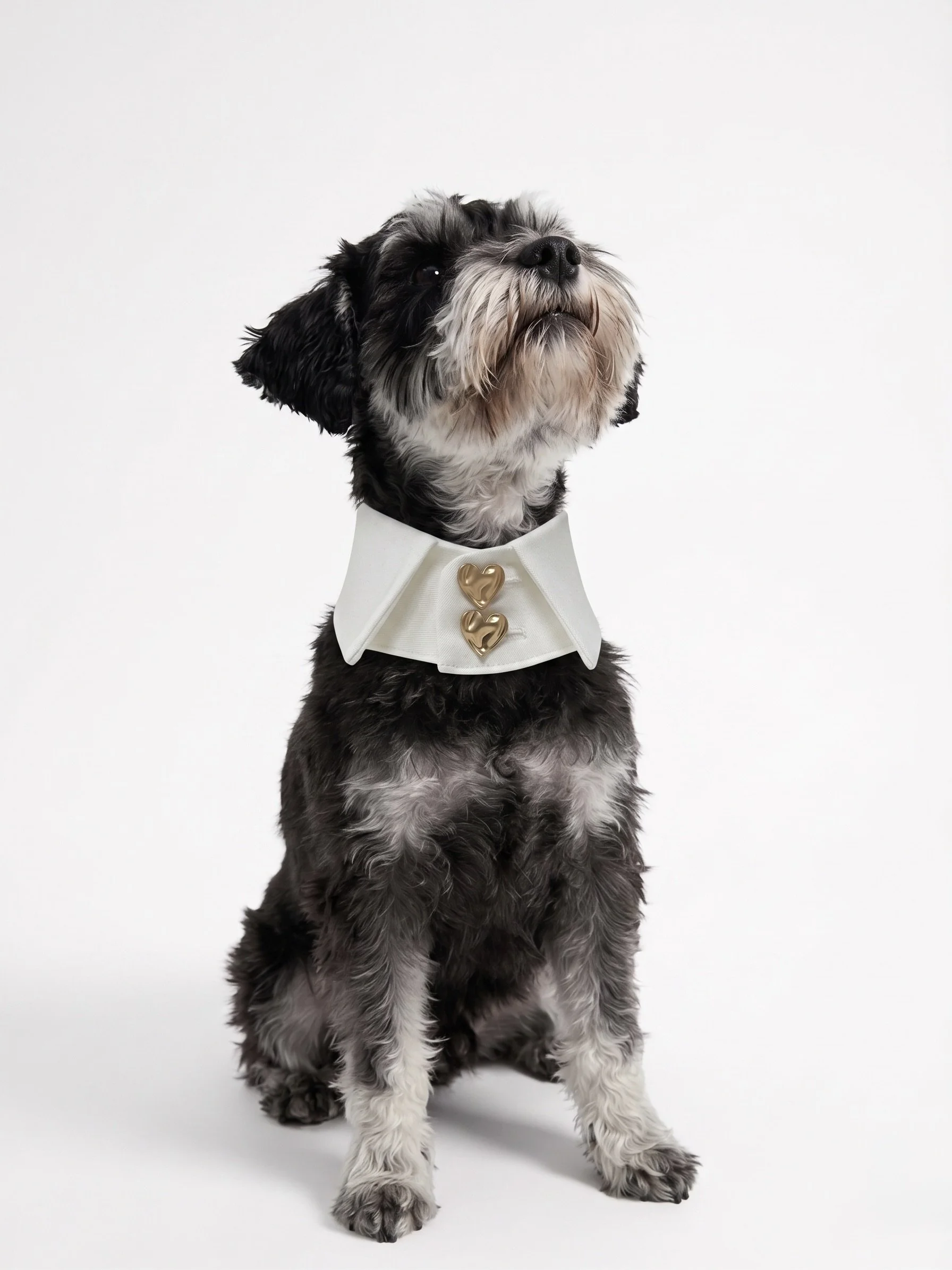 Hundekragen  White Heart