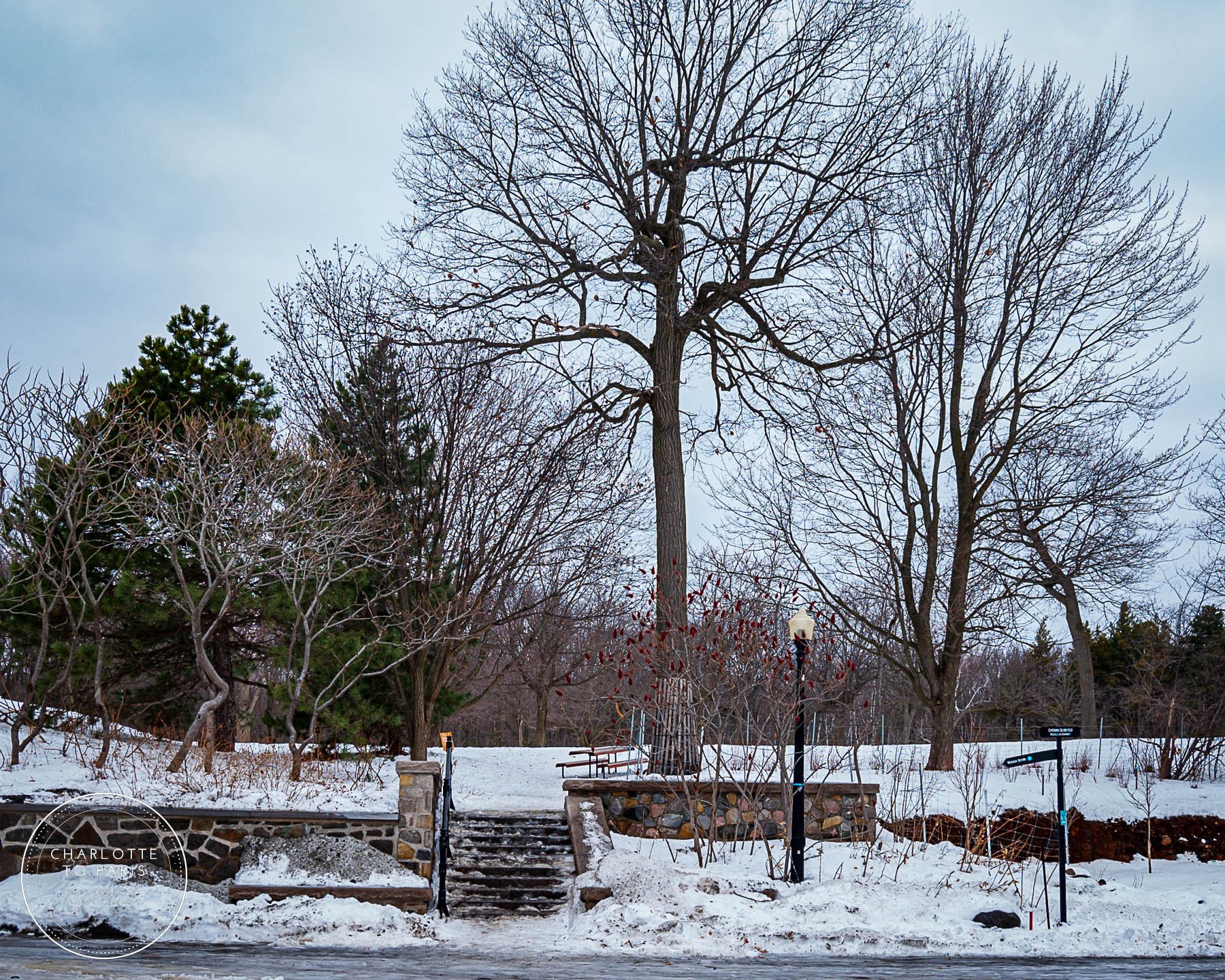 Behind the Belevedere, Parc du Mont-Royal Montréal