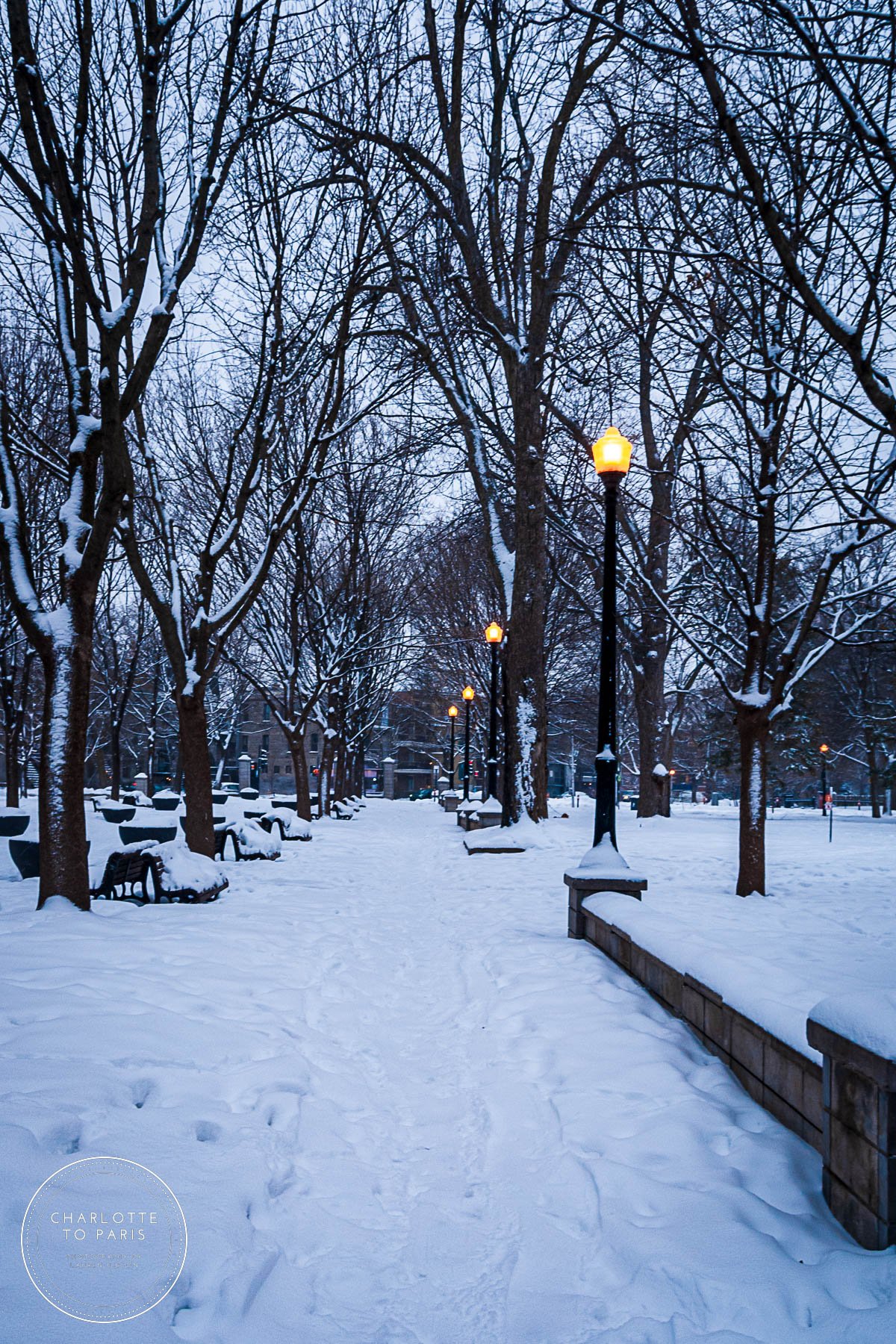 Snowy Pathways Parc La Fontaine Montréal