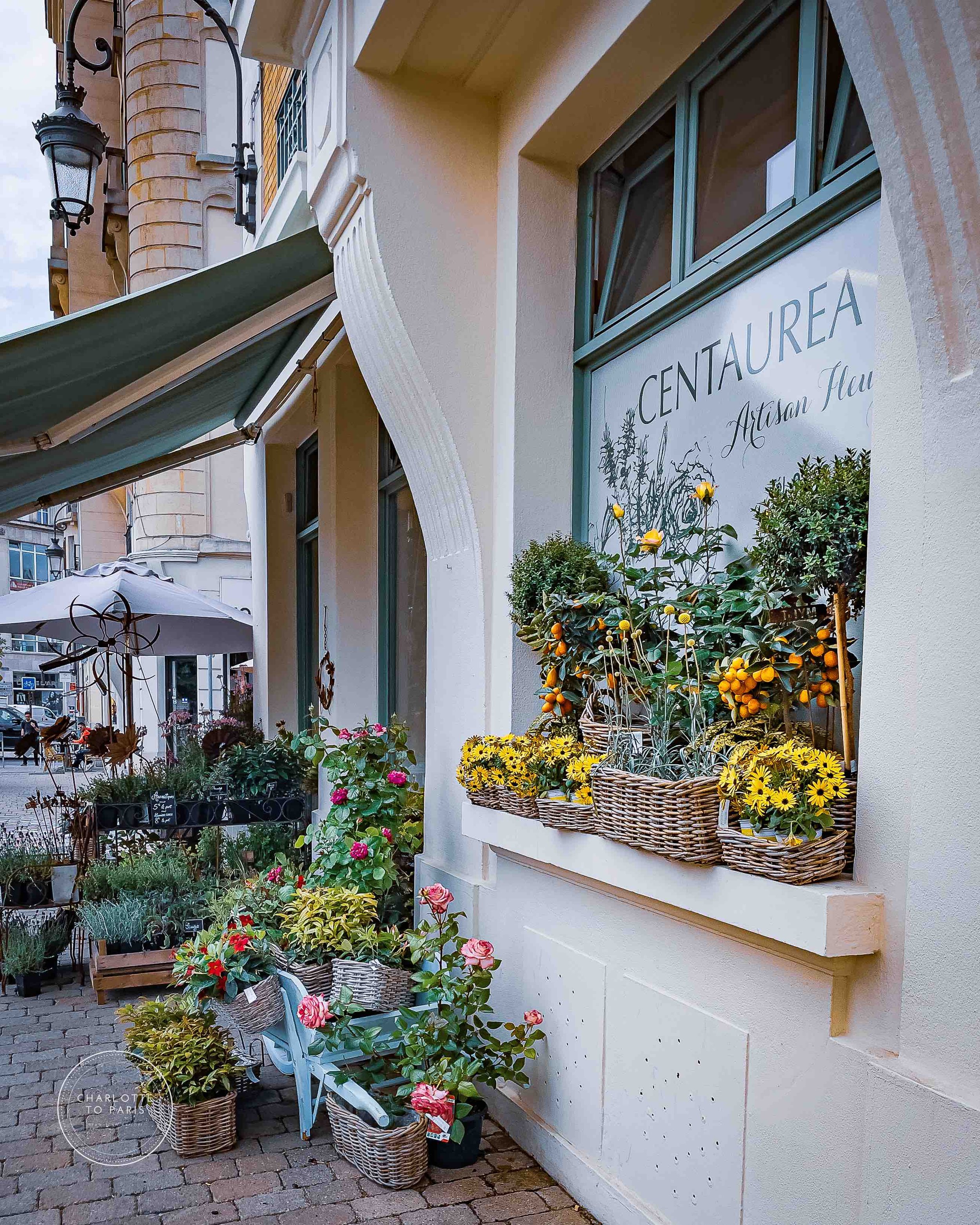 A Flower Shop, Place du Forum