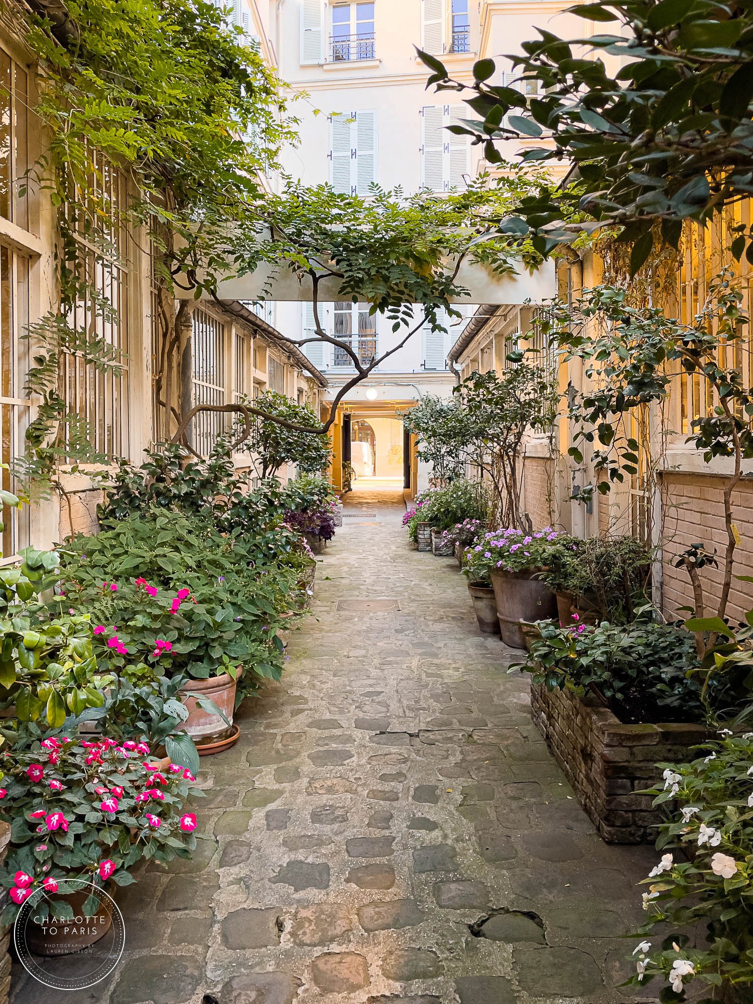 The Essential Travel Guide to Saint-Germain-des-Prés in Paris