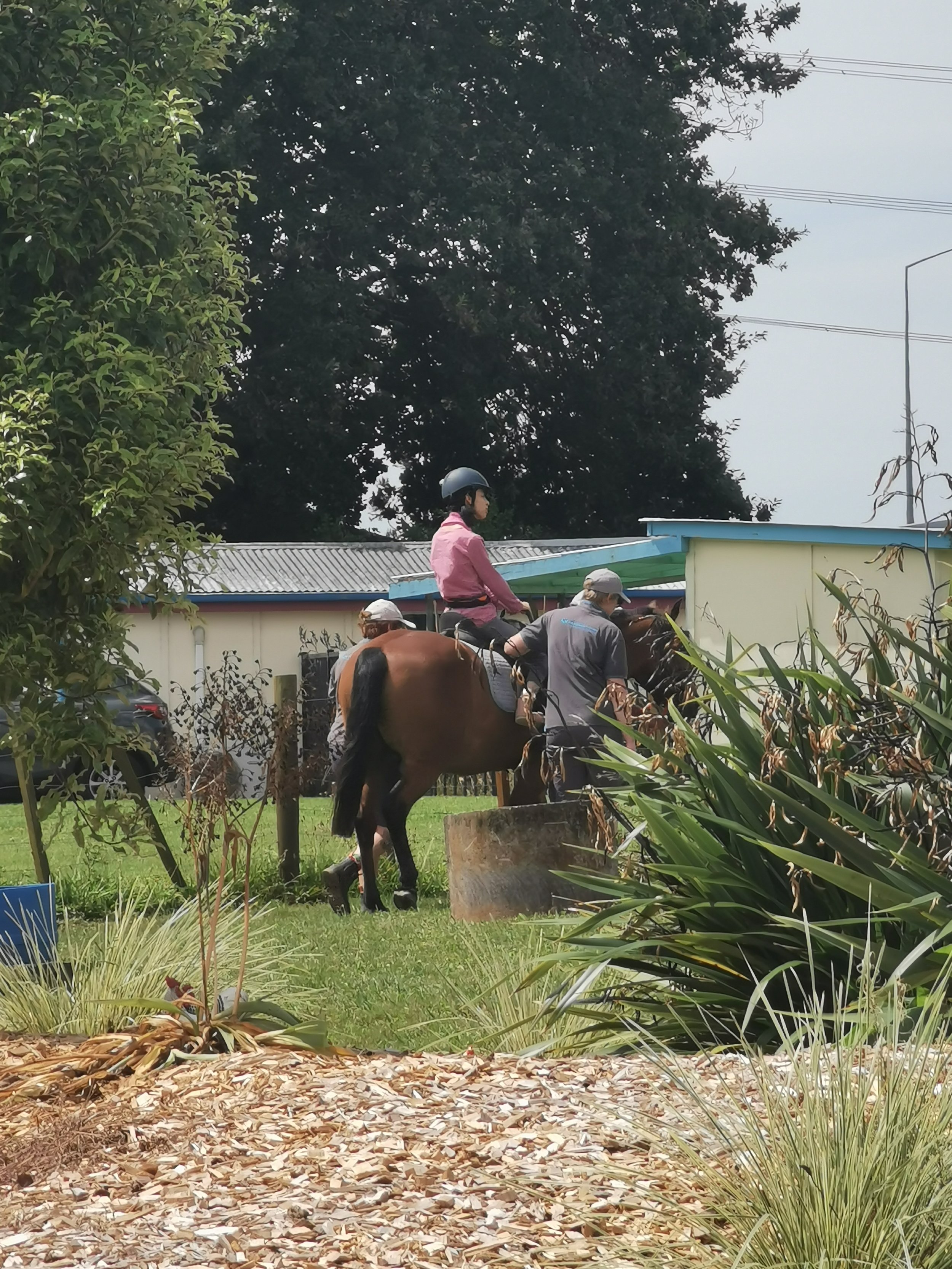 2026.......Let's Go!