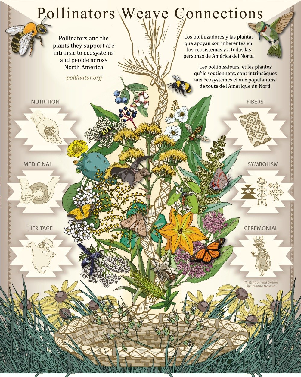 Pollinator Week &ndash; Day 3
Pollinators Weave Connections

Pollinators quietly weave the fabric of our world&mdash;connecting food, medicine, fiber, and culture with every wingbeat. 

We love the yearly @pollinatorpartnership posters (yes, we have 