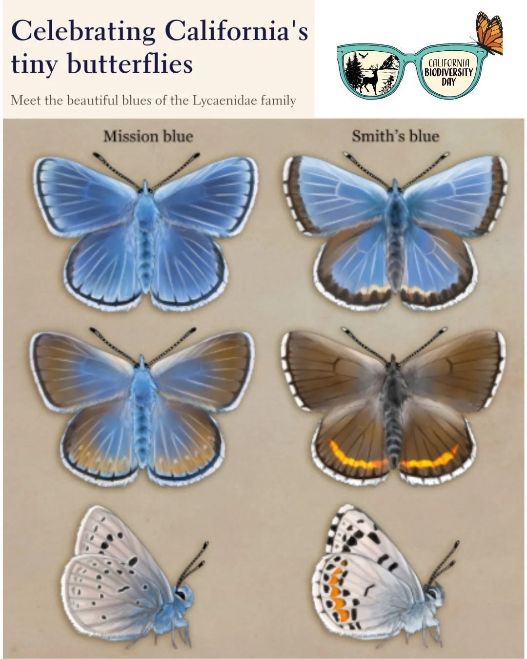 California is a global biodiversity hotspot.  However, this precious resource is under significant threat from factors like climate change and habitat loss.  The state has a goal to protect 30% of our land and coastal waters by 2030.  We are working
