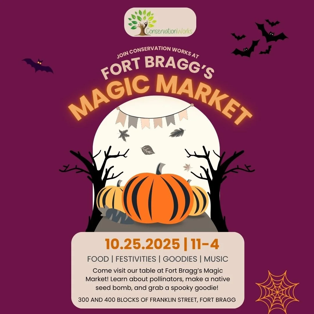 Join Conservation Works at the Fort Bragg Magic Market! 🕸🔮
We will be tabling at the Magic Market this year! Come out and find our table, where we will have DIY seed bombs to build and lots of fun and spooky pollinator facts to learn and share. 🕷