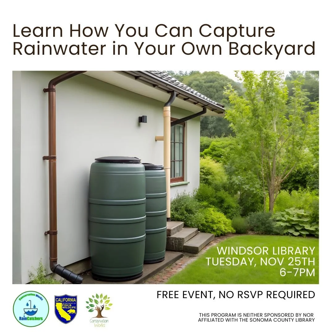 Join our very own Conservationists for an evening presentation on rainwater harvesting. Learn how you can begin capturing rainwater in your own backyard! 

Rainwater harvesting helps to conserve water during the dry season, protects our endangered sa