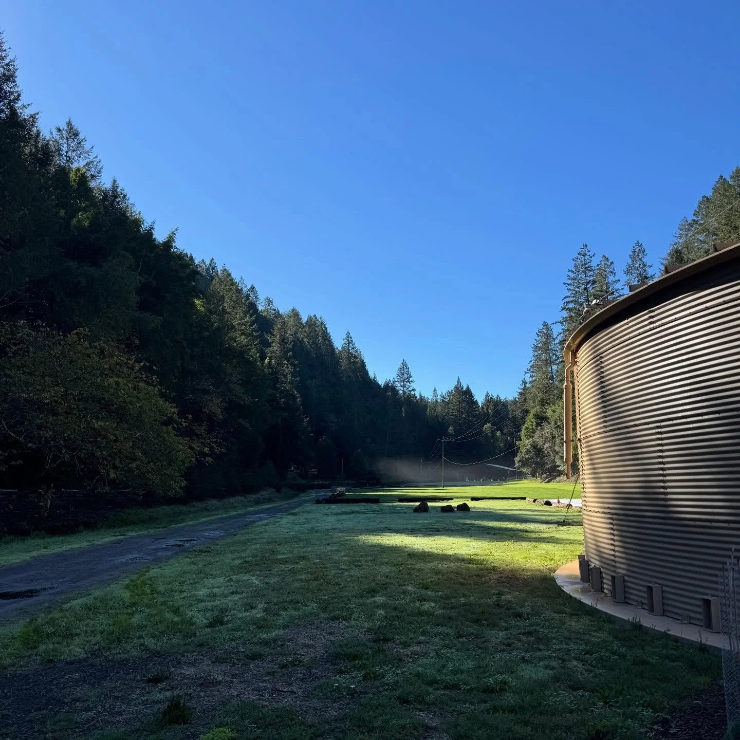 Teamwork for the tiniest workers 🐝🌿 Morning well spent at Mt. Gilead giving their pollinator gardens a little TLC!

Small weeds, big impact 💪 California Climate Action Fellows joined @goldridgercd to remove invasive grasses and weeds competing wit