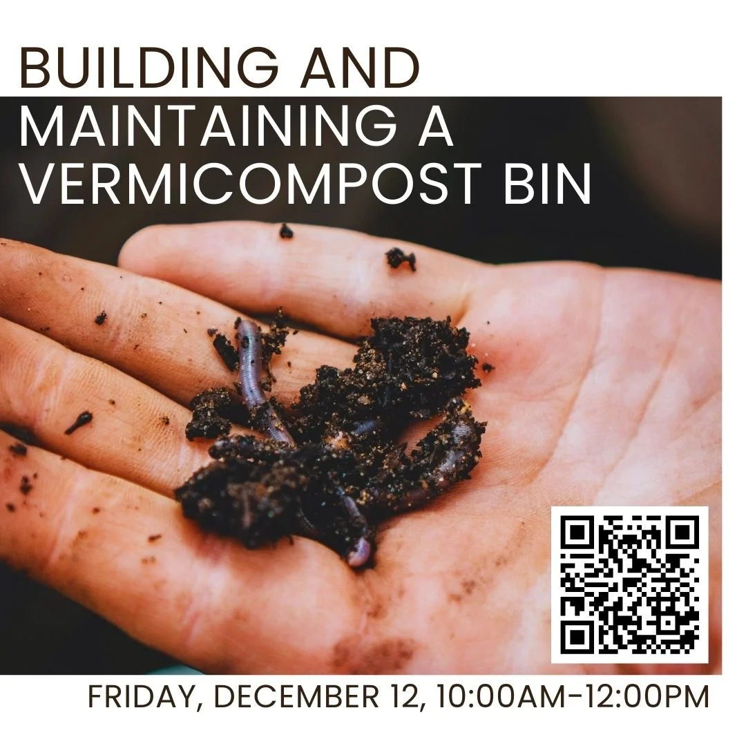 Join Conservation Works in our vermicomposting workshop! 🪱🪱

Check out our office worm bin and learn how to build and maintain your own, in whatever size space you have! You'll also get to know the importance of composting for food waste and greenh