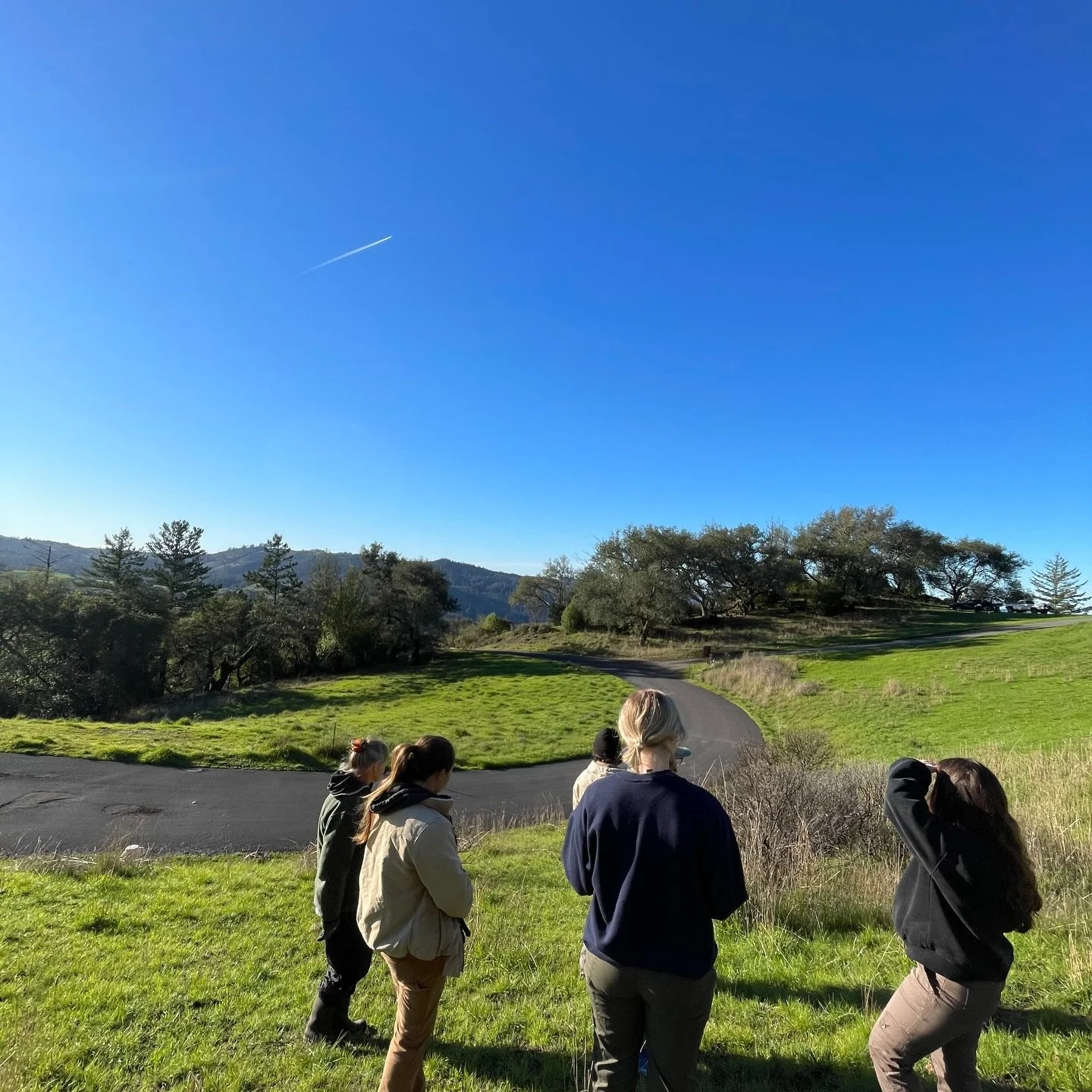 Our @caclimateaction fellows joined forces with @pepperwoodpreserveca last week to plant purple needlegrass - a California native AND California&rsquo;s state grass! 🌾 

Native grasses are crucial to a happy, healthy California. They support water r