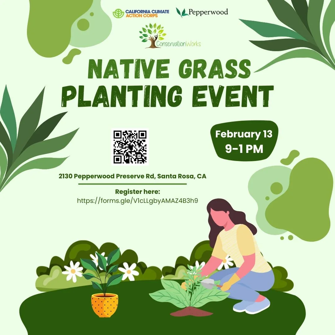 Volunteer Event -Native Grass Planting