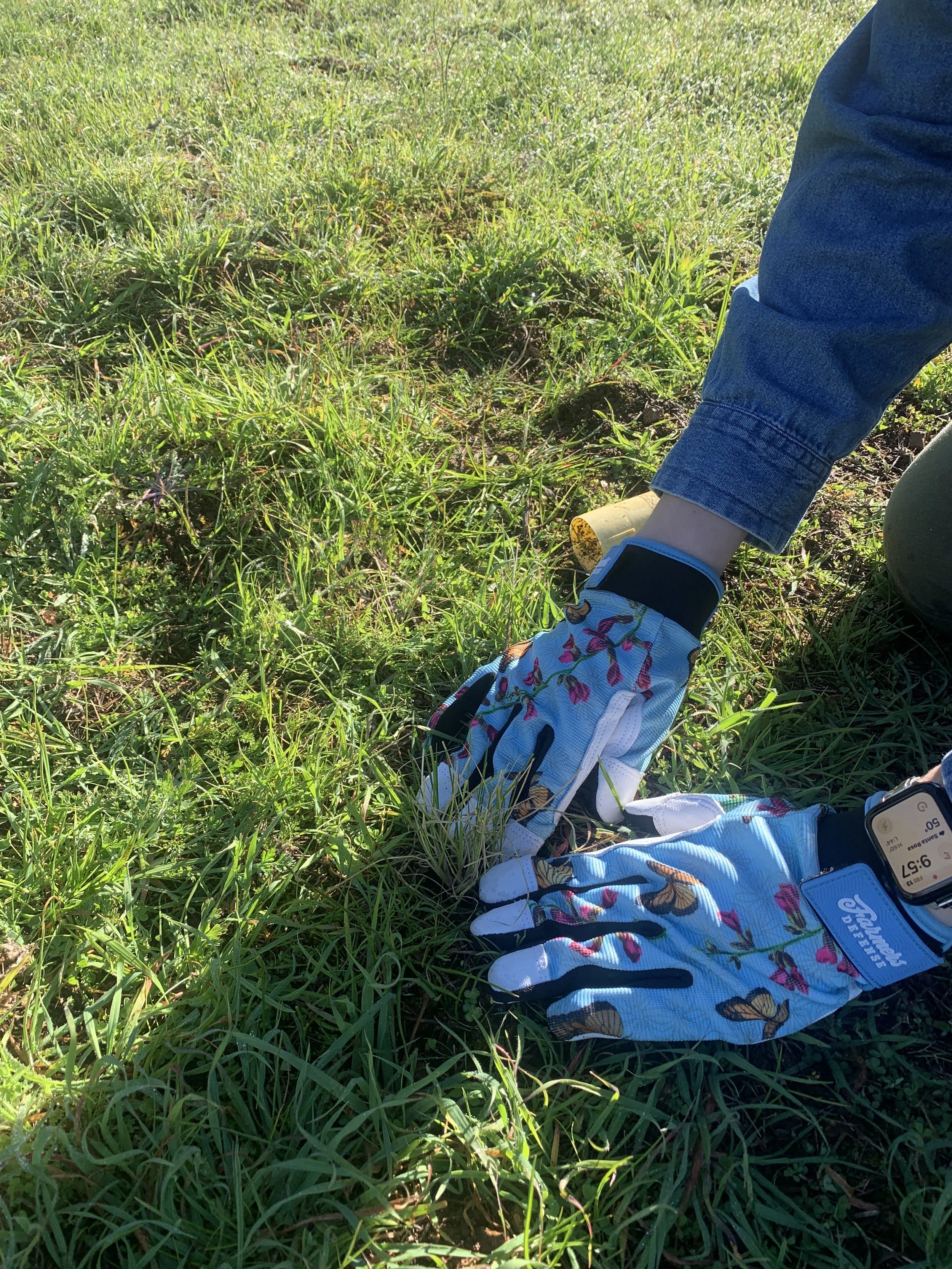 Native Grasslands in Partnership: Pepperwood Preserve