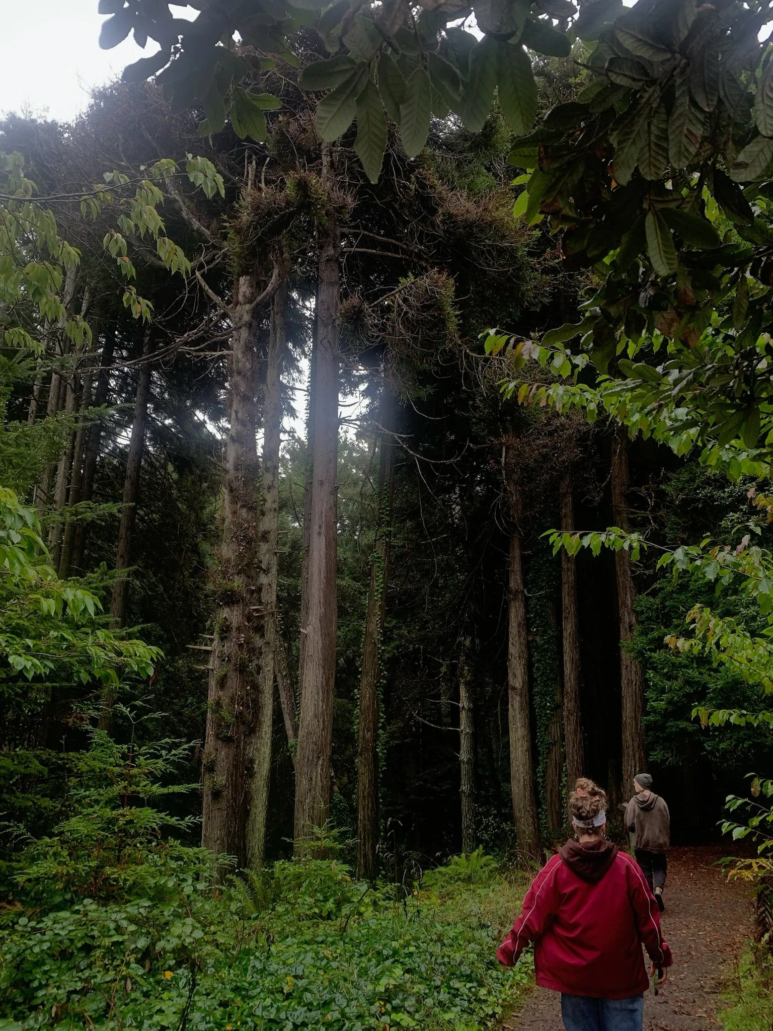 On this #worldenvironmentday we stop to take a trip down memory lane, to a few of the beautiful environments our @caclimateaction fellows have worked in during their service term! 🌏

From coast to grassland and mountain to river, our fellows have be