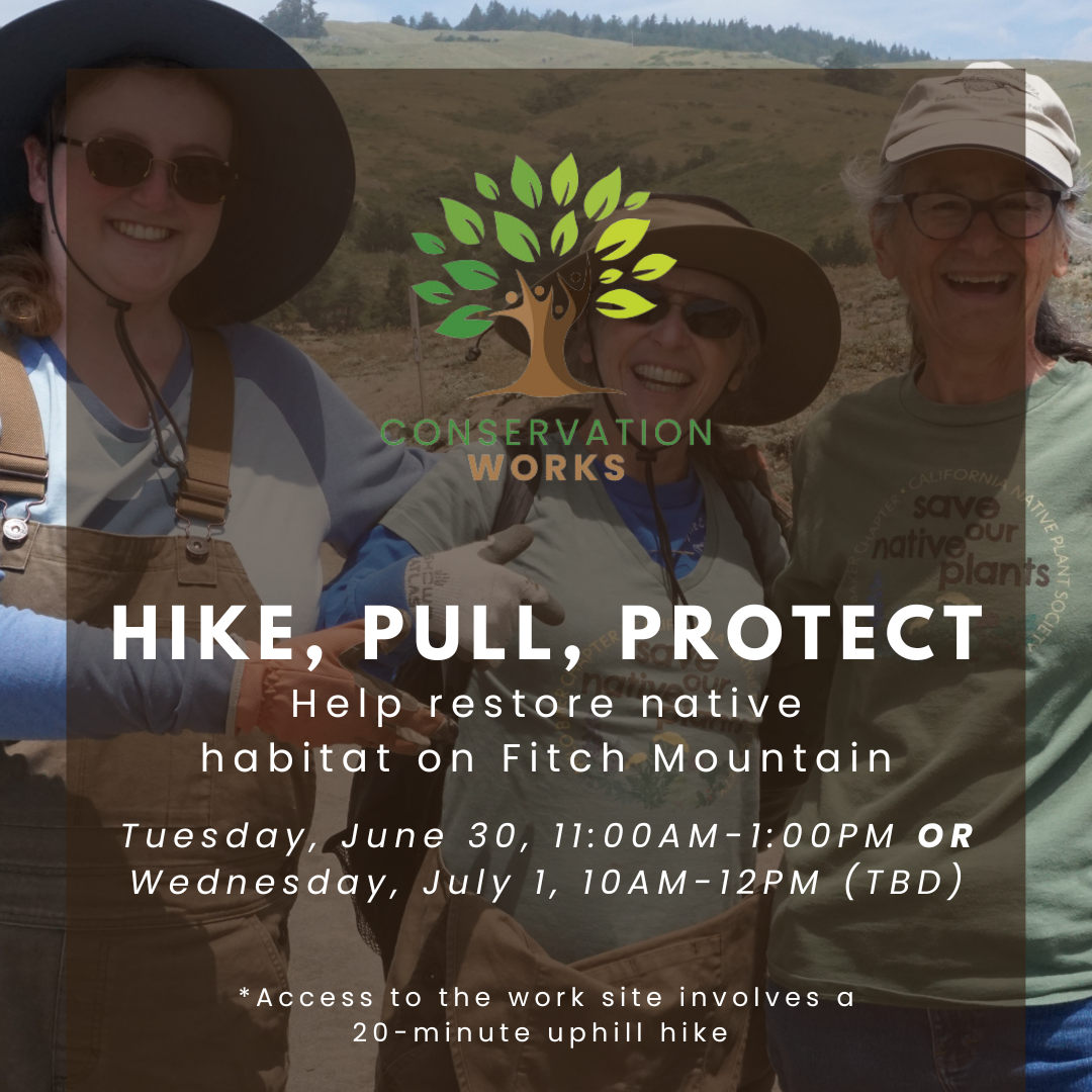 Hike, Pull, Protect
