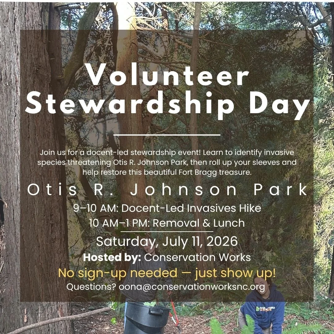 Volunteer Stewardship Day: Otis R. Johnson Park