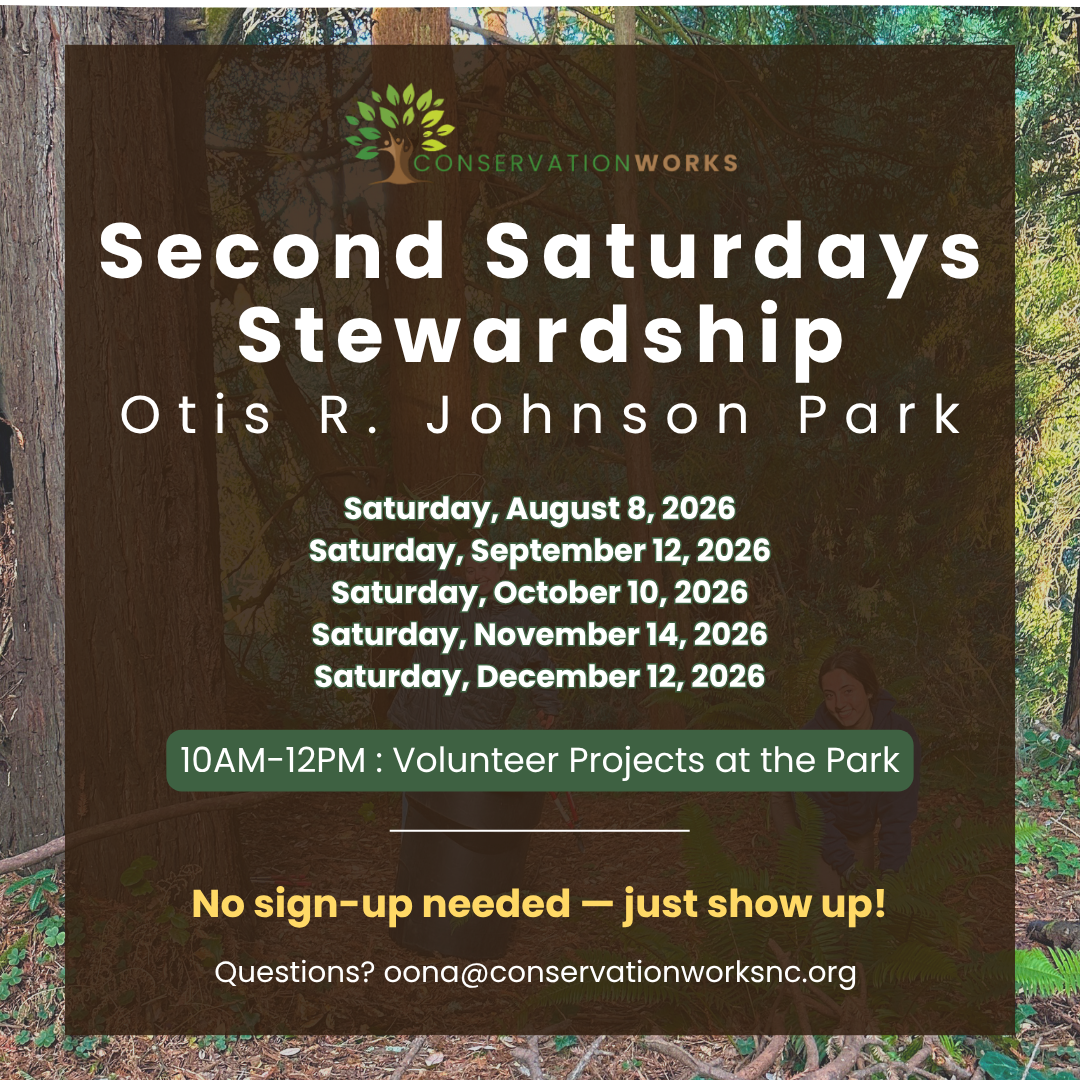 Second Saturdays Stewardship