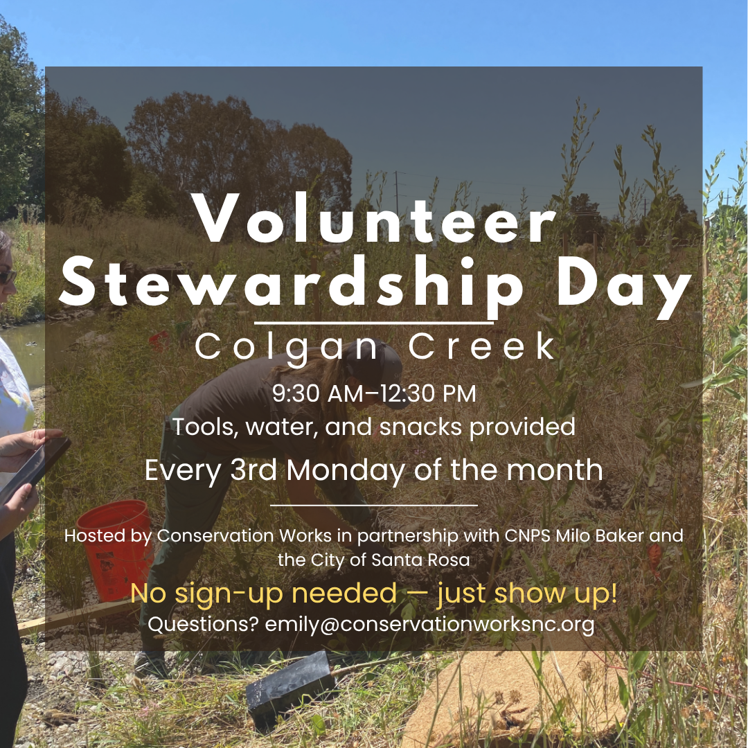 Colgan Creek Stewardship Days