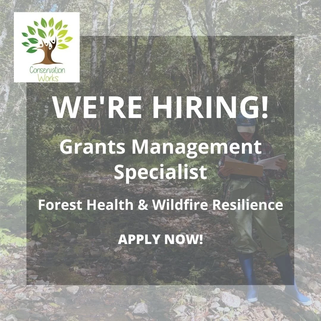 We&rsquo;re hiring!

Conservation Works is looking for an experienced Grants Management Specialist to join our team and help lead our regional forest health and wildfire resilience programs across Northern California.

This is a significant role mana