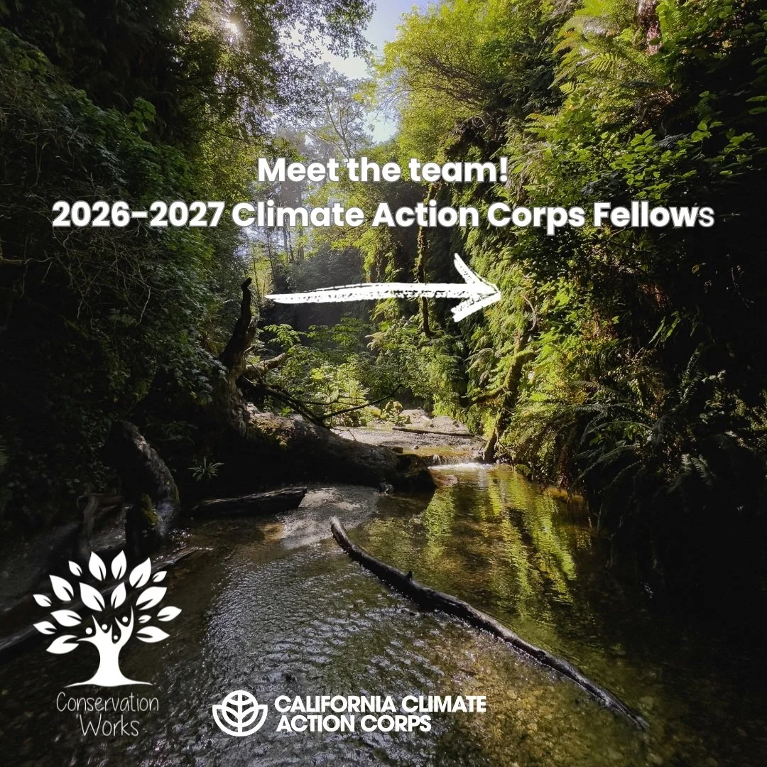 We're so excited to introduce our 2026-2027 round of CCAC fellows! 🌍

With some new and returning faces, this crew is excited to leap into the community and get to work, making the North Coast more green, resilient, and connected 🌱

If you see them