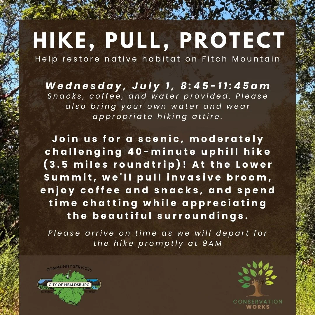 🌿🥾 Ready to explore one of Healdsburg&rsquo;s most beautiful open spaces while making a positive impact?

Join us for a scenic hike up Fitch Mountain Preserve as we enjoy sweeping views, fresh air, and good company on the way to the Lower Summit. O