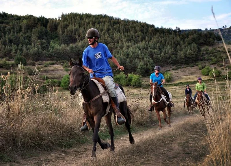 Horseback riding photo from subcontractor website.jpg