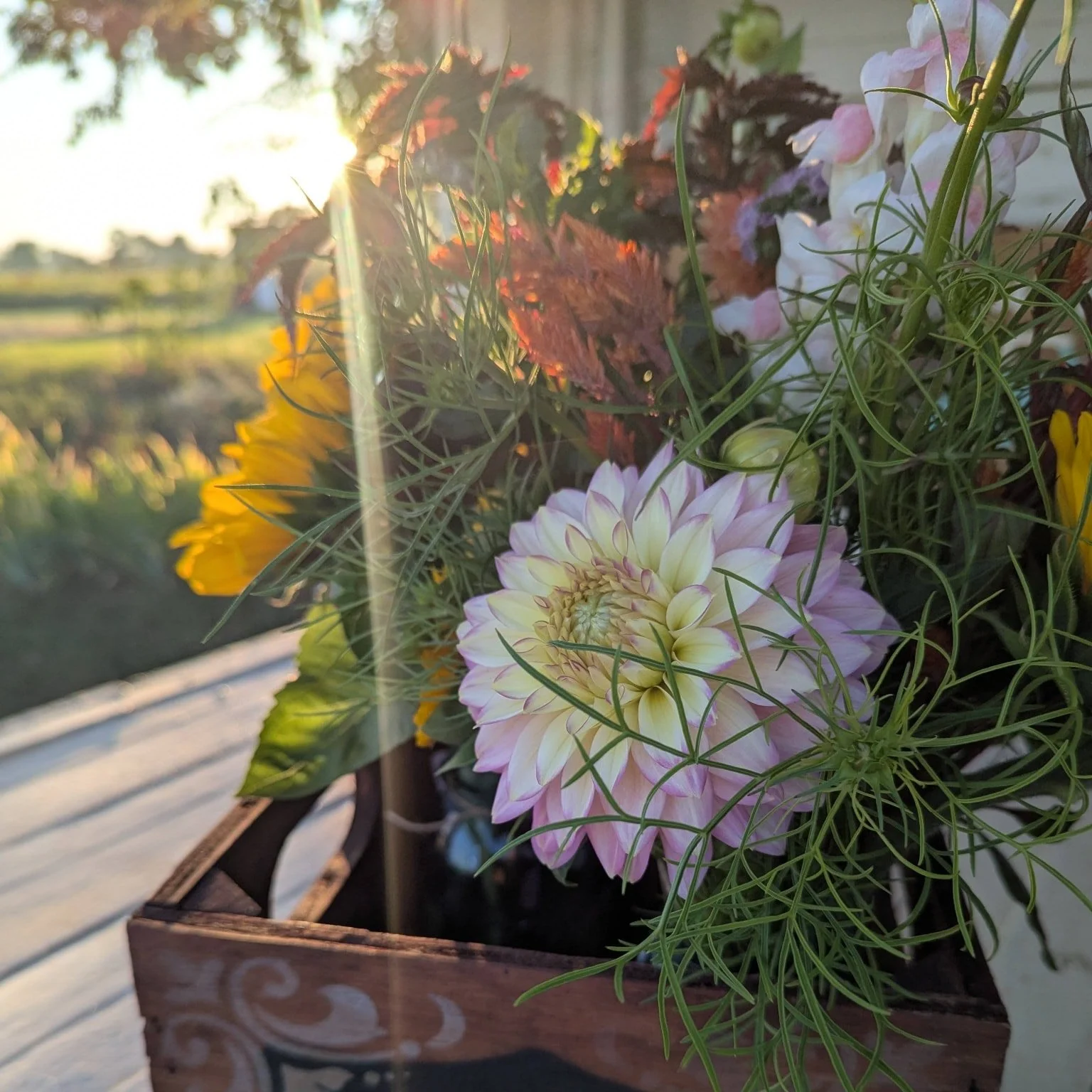 I miss warm summer mornings and playing in the garden.